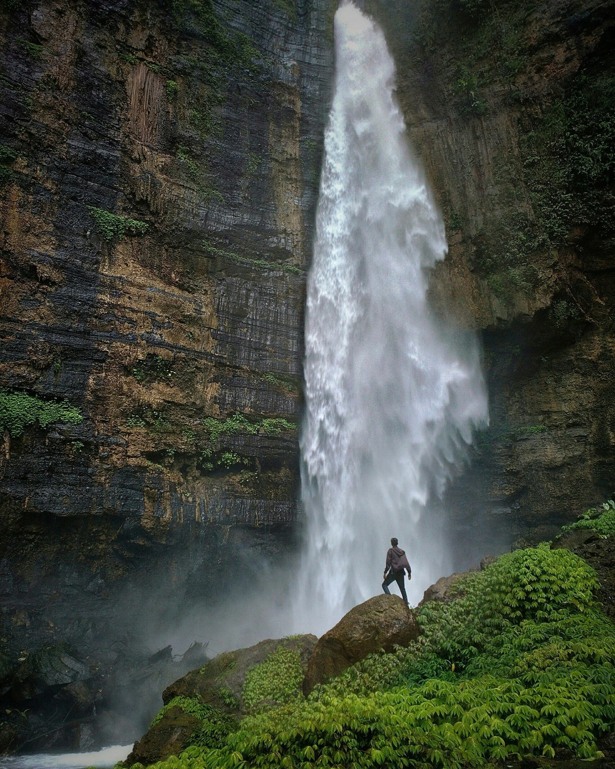 A person standing on a mossy rock in front of a tall waterfall in a lush green forest.