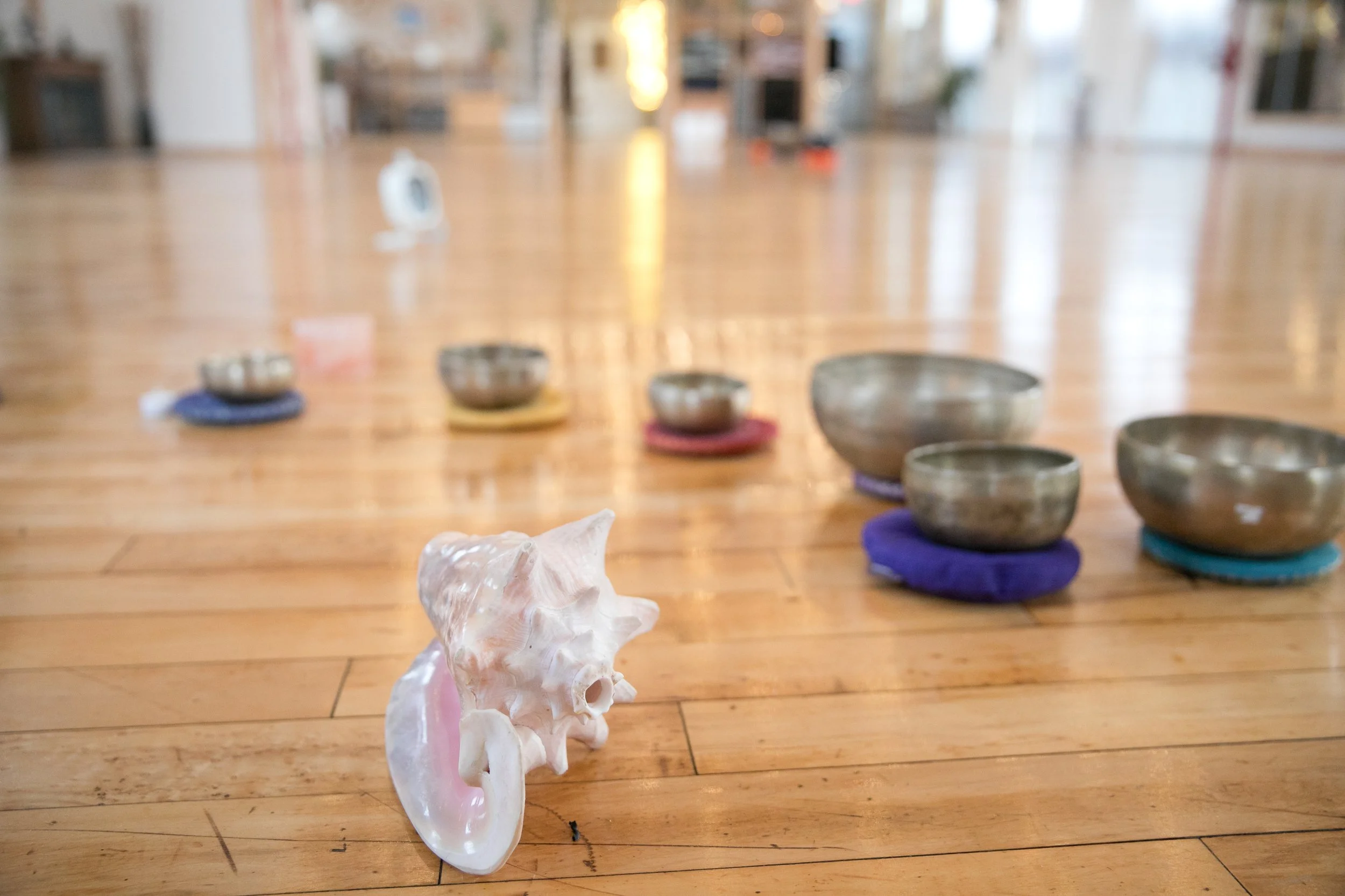 Conch shell instrument and healing Tibetan bowl instruments.