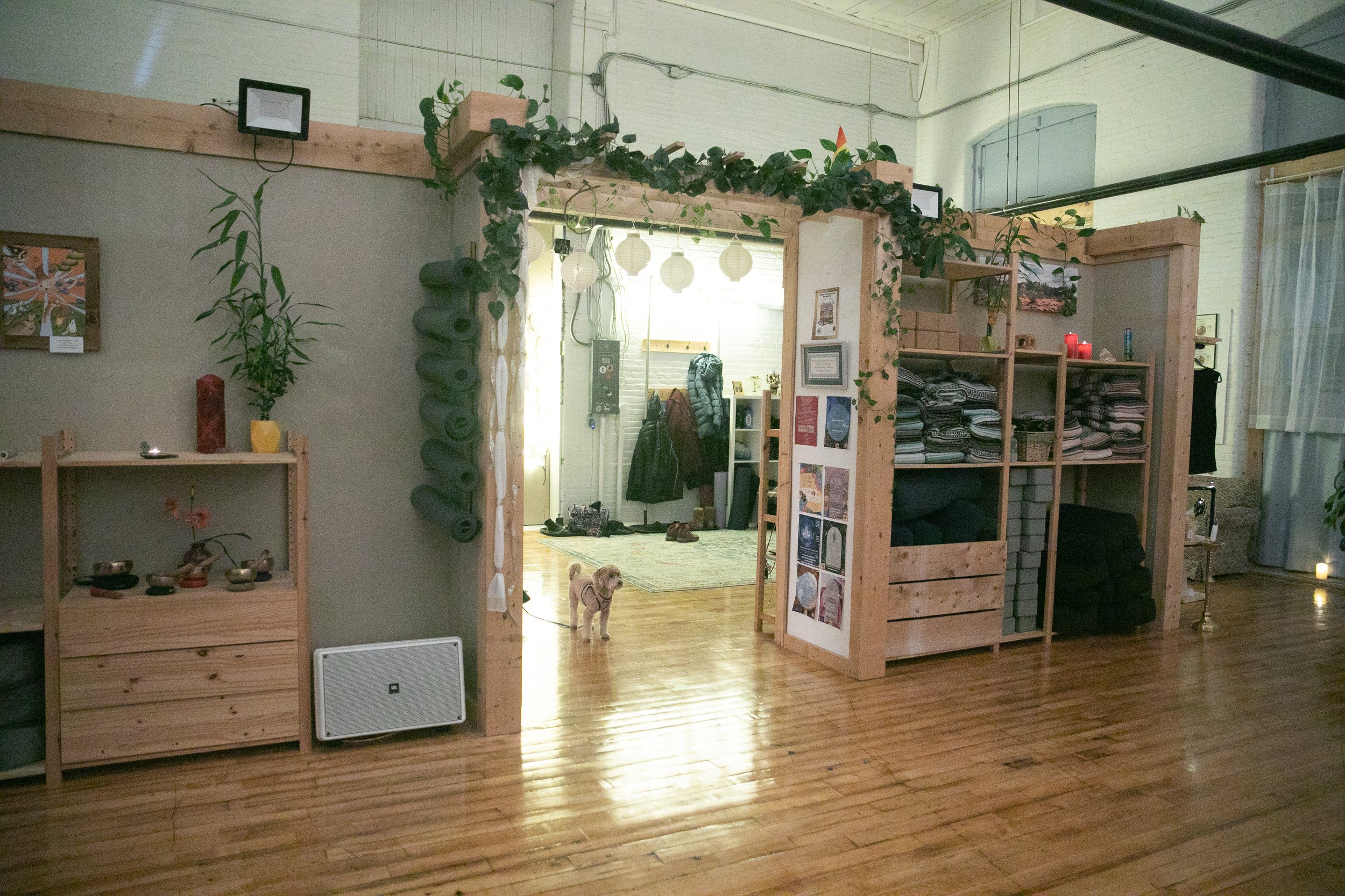 The entrance to Sva Ha Academy with yoga mats, blanket, bolsters, Tibetan bowls, and a dog.