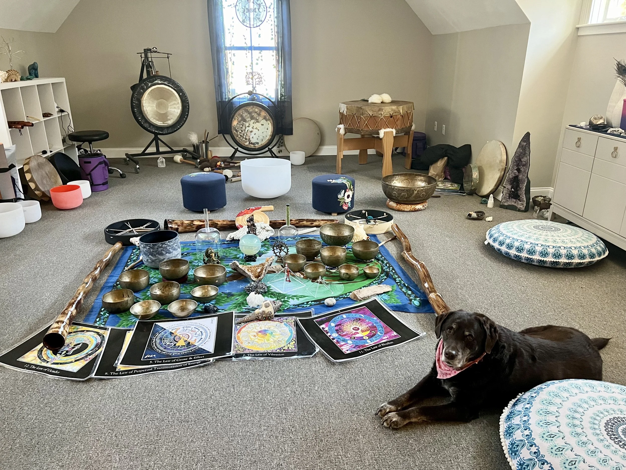 Room with meditation and sound healing instruments including singing bowls, gongs, chimes, and tarot cards, with a black dog lying on the carpet.