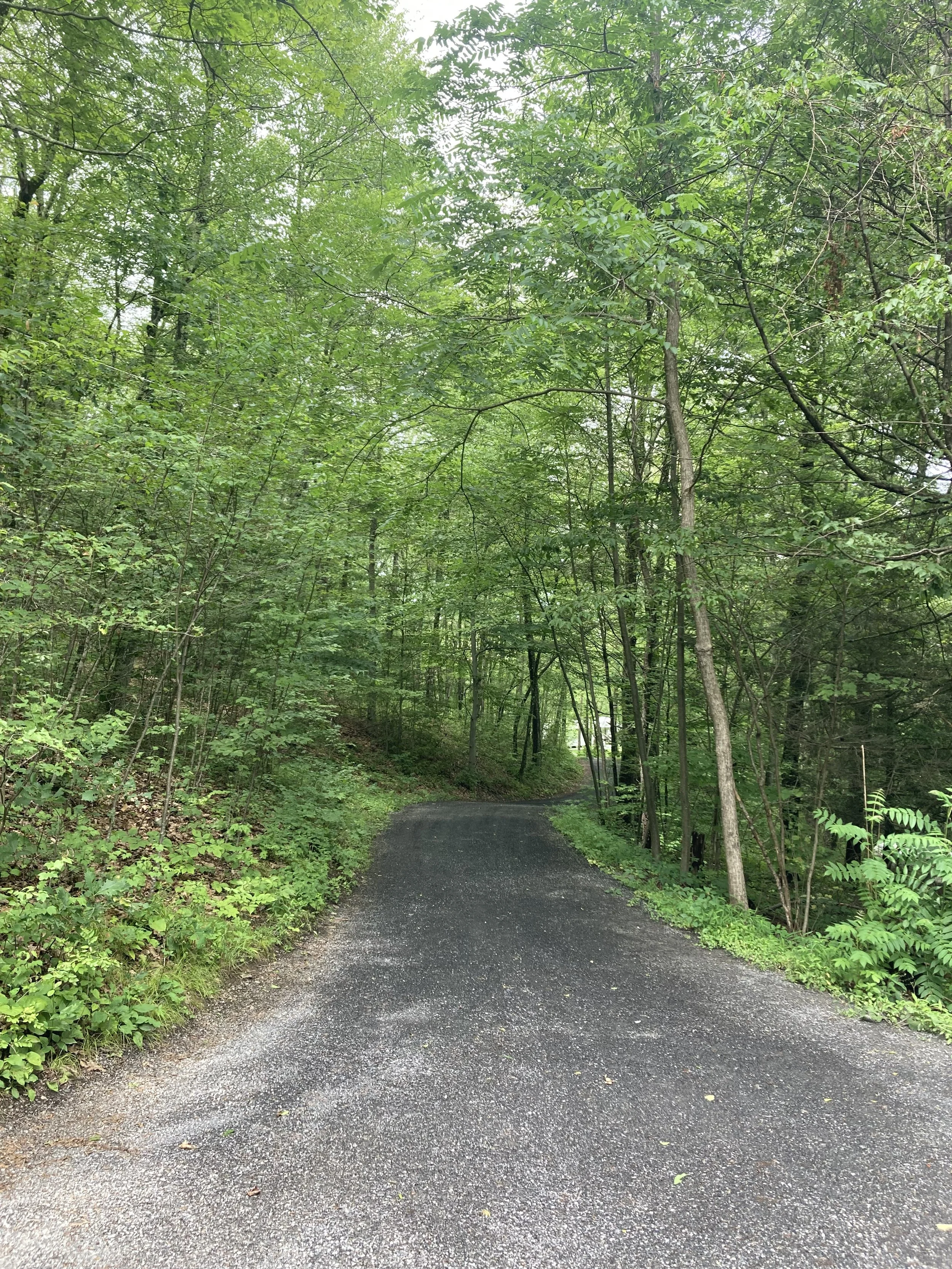 Connect With Your Ancestors Workshop