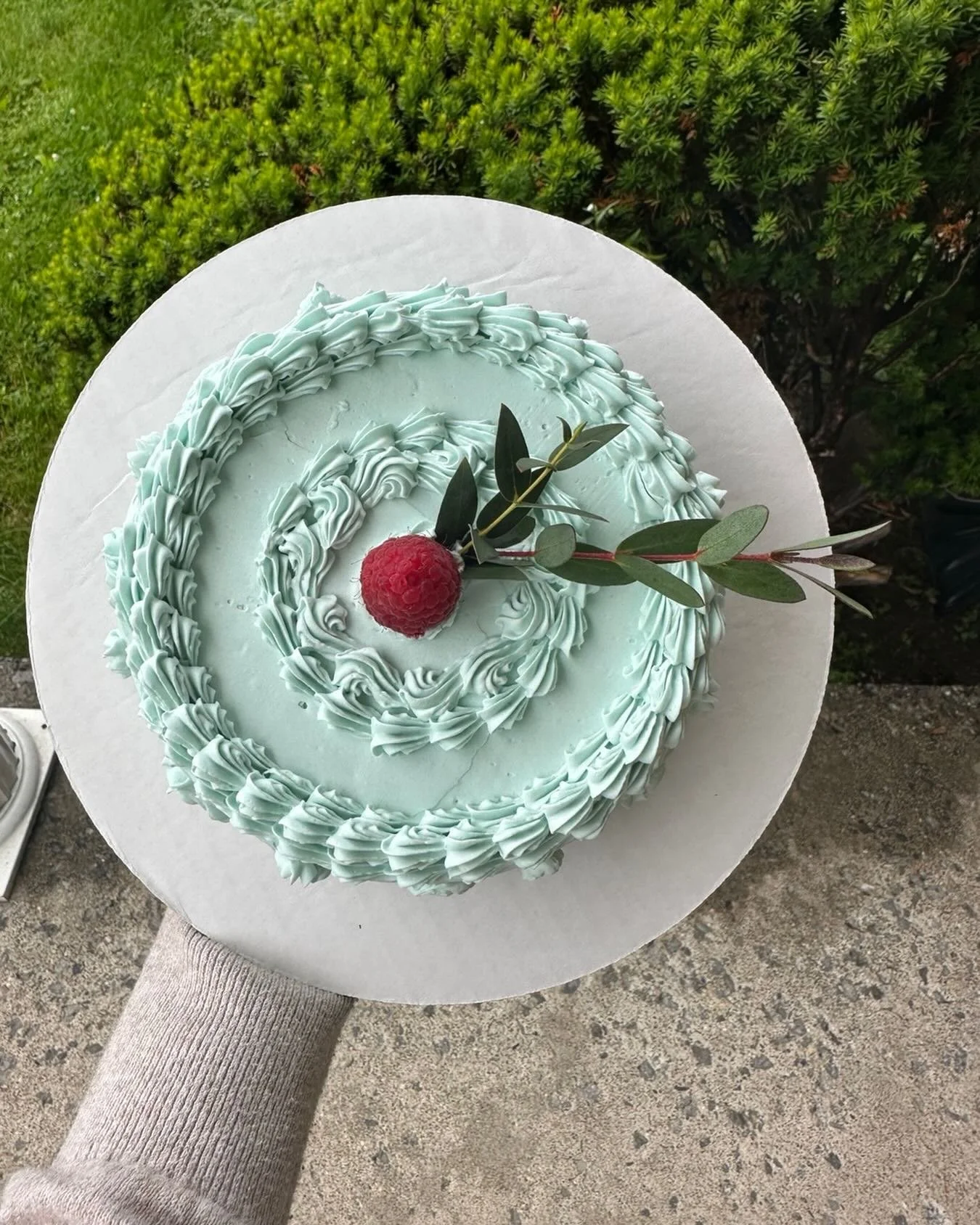 So, the other day, I left this cake out in the rain. It was overcast, quiet, and more ominous than I was prepared to handle. I put it in a crate, on a farm, and ran far far away. And quite frankly, I blame my suburban NJ upbringing, Hollywood, Vietna