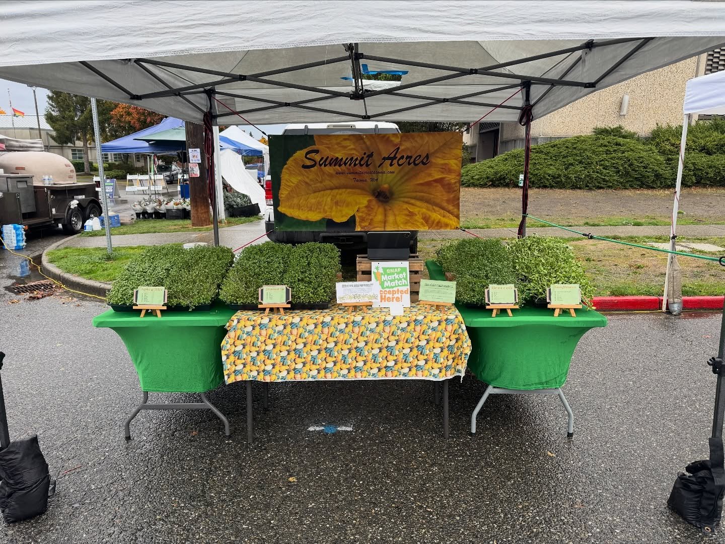 It might be a rainy day, but we are at the @proctorfarmersmarket step out pick up some micro greens. If you can&rsquo;t make it out to the farmers market today, we also offer delivery visit summitacrestacoma/signup 

#summitacres #tacomawa #proctordi