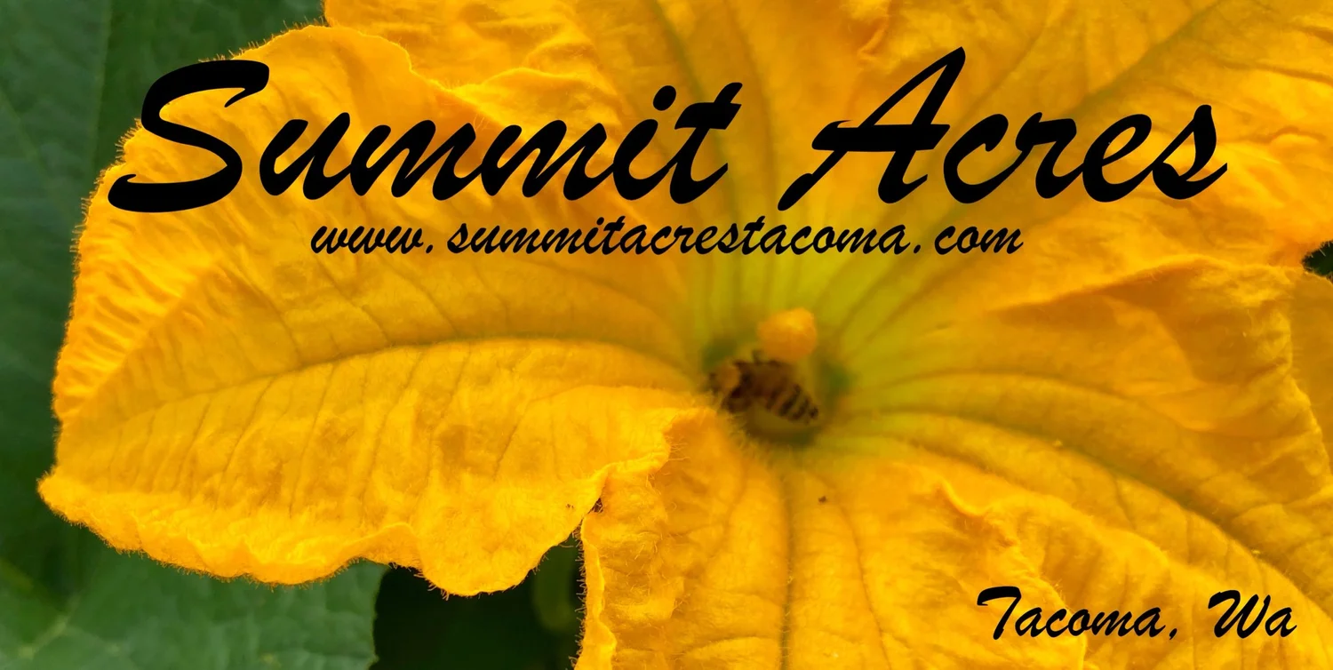 Summit Acres Tacoma