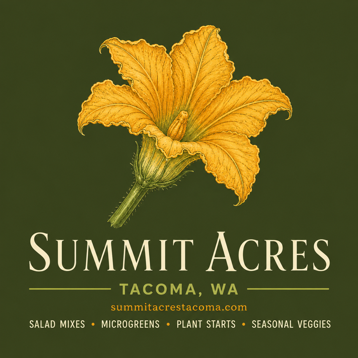 Summit Acres Tacoma