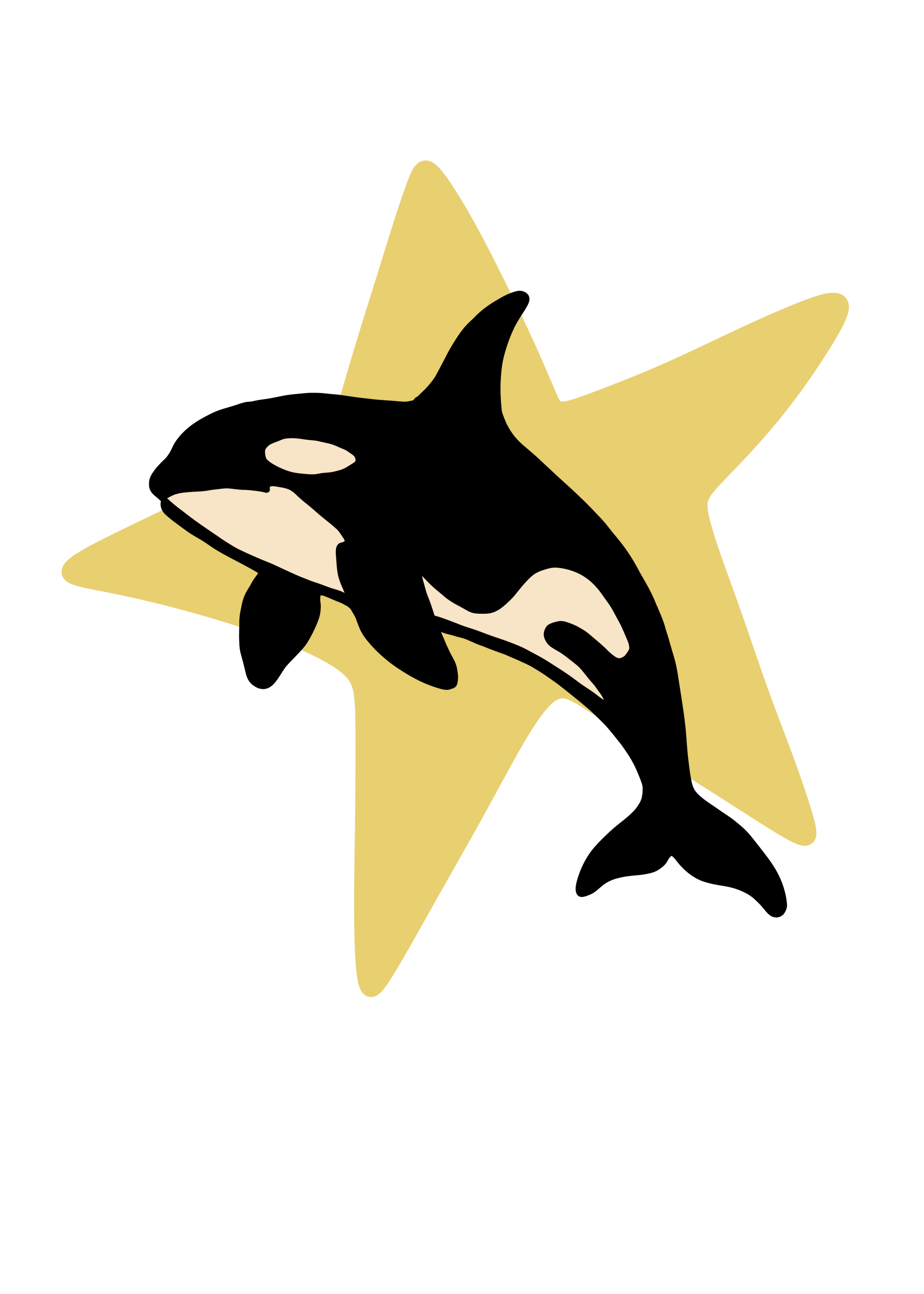 IMG_0842.PNG