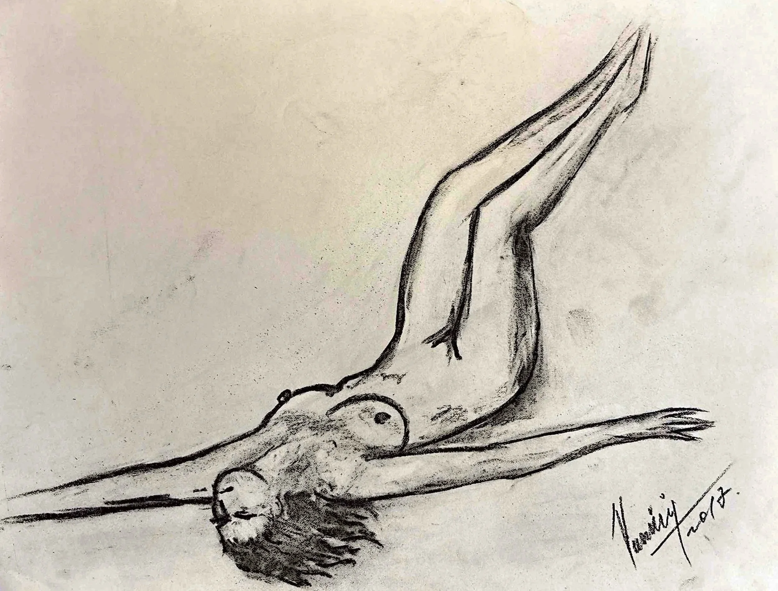 "Technical Warm-ups", charcoal on paper, 11 × 14 in., 2017