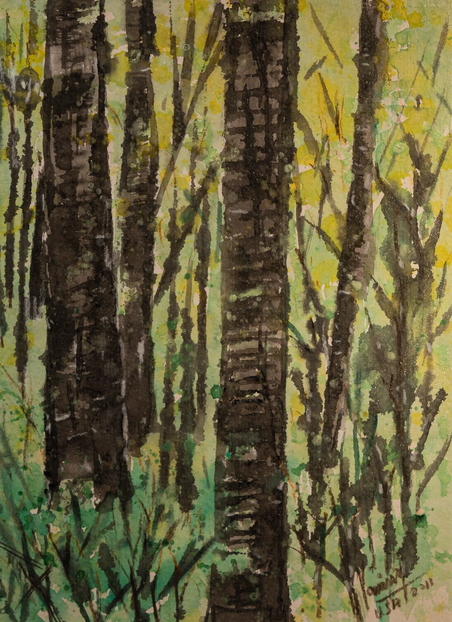 "Wood Tapestry", watercolor on paper, 9 × 12 in., 2011