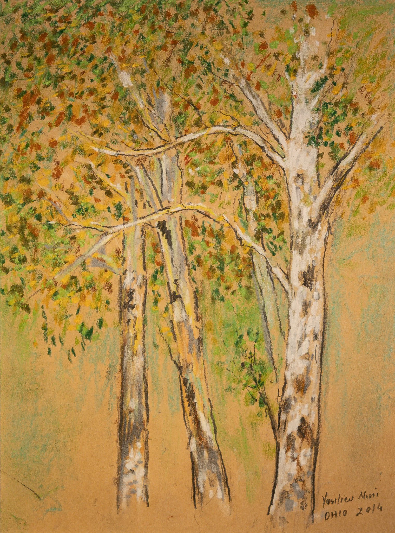 "Birch", pastel on paper, 9 × 12 in., 2014