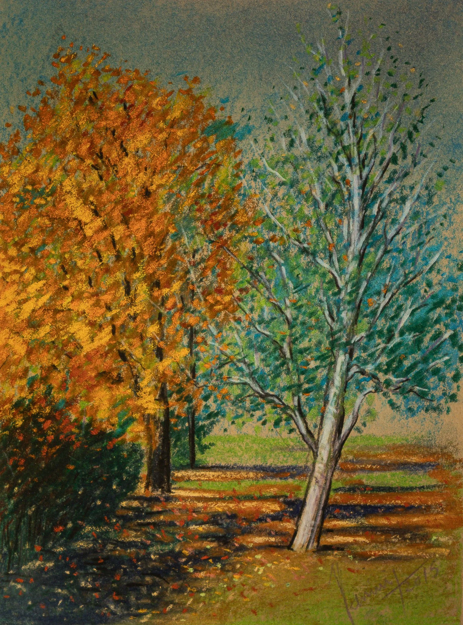 "White Bark", pastel on paper, 9 × 12 in., 2015