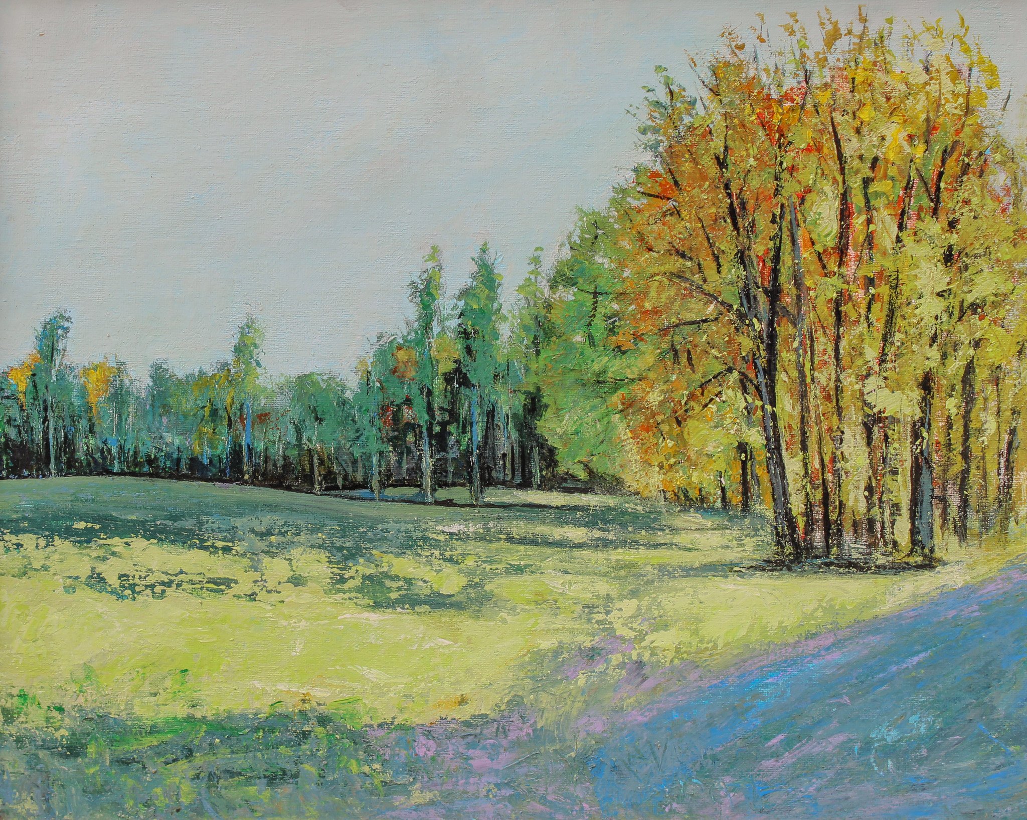 "Expanse", acrylic on canvas, 16 × 20 in., 2010