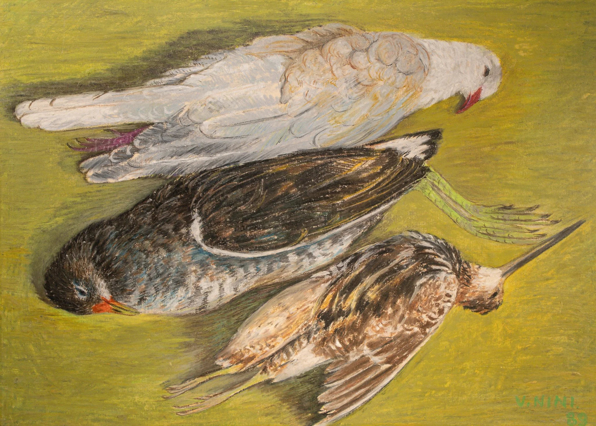 "Aviary II", pastel on paper, 13 × 18 in., 1989