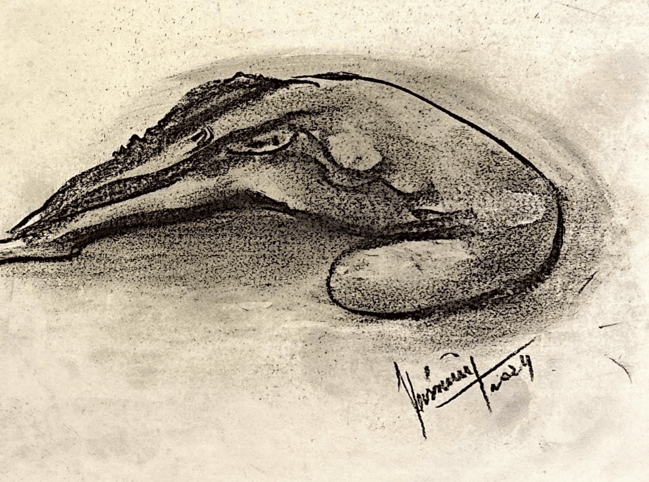 "Technical Warm-ups", charcoal on paper, 9 × 11.75 in., 2024