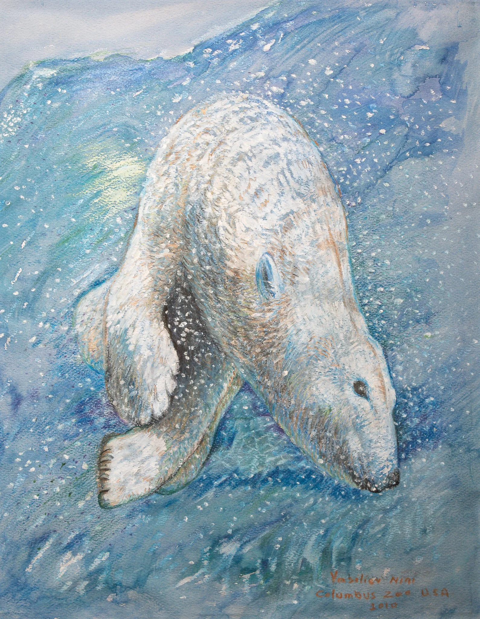 "Polar Bear", pastel on paper, 11 × 14 in., 2010