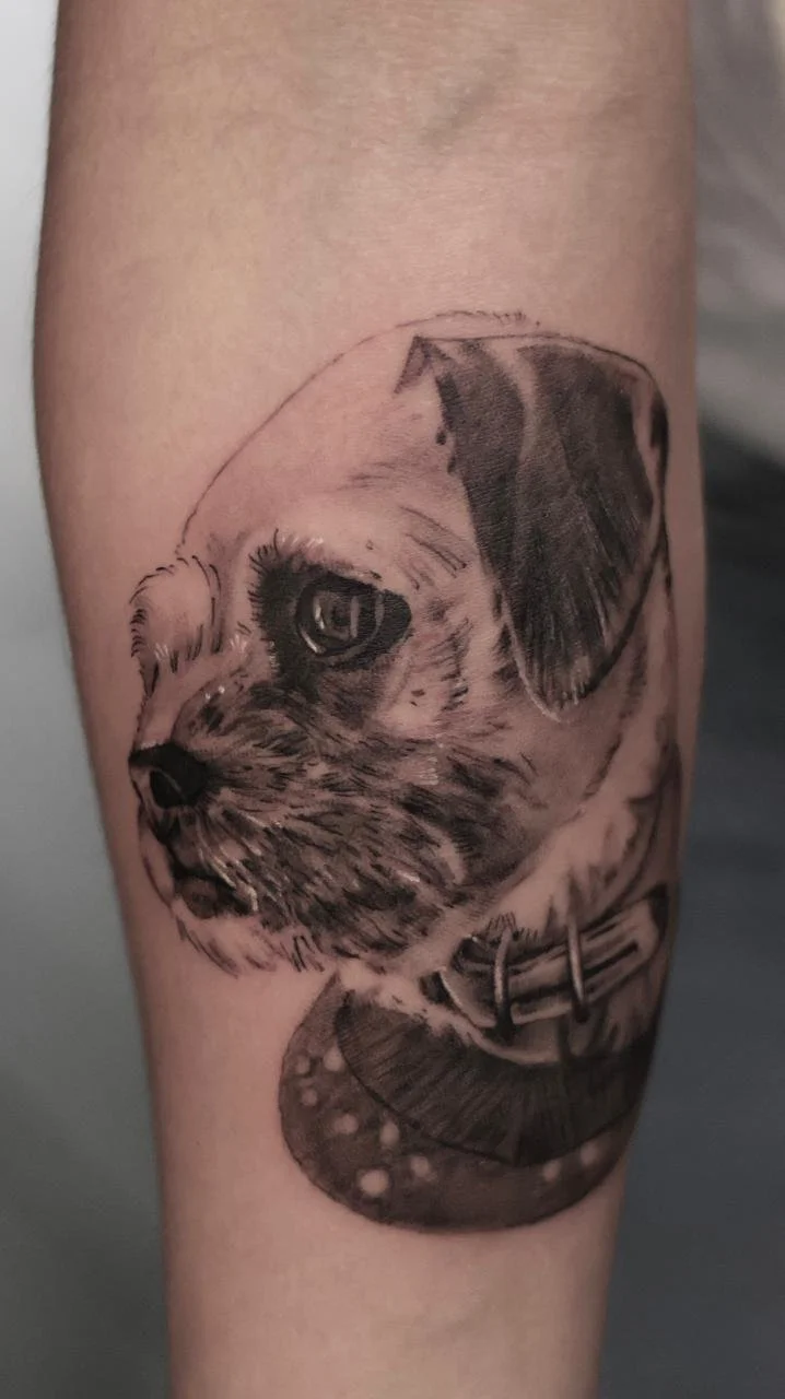 Tatuaje realista en primer plano de un retrato de un perro realizado en el mejor estudio de tatuajes en cdmx La navaja tattoo