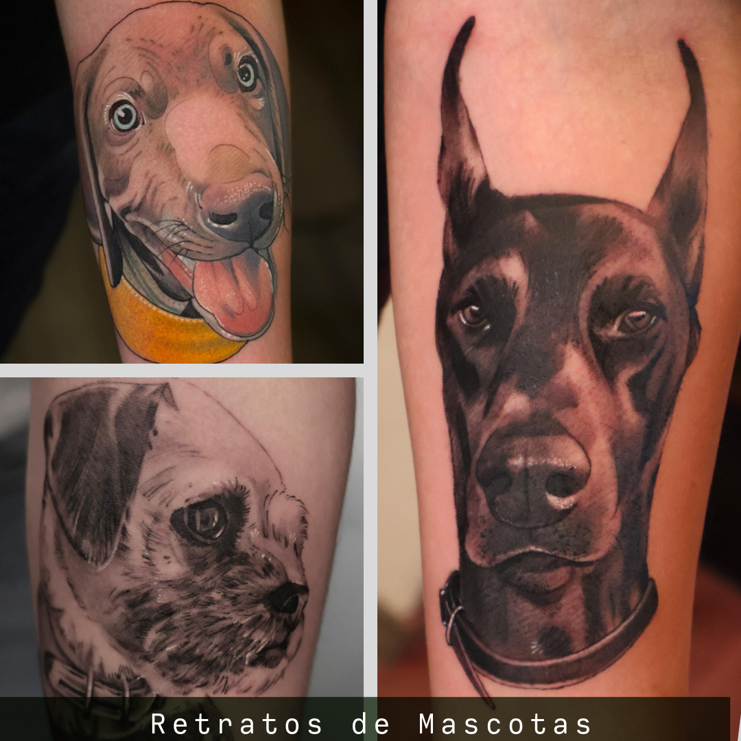 Tatuajes de retratos de mascotas En realismo, color y cualquier estilo de tatuaje. 