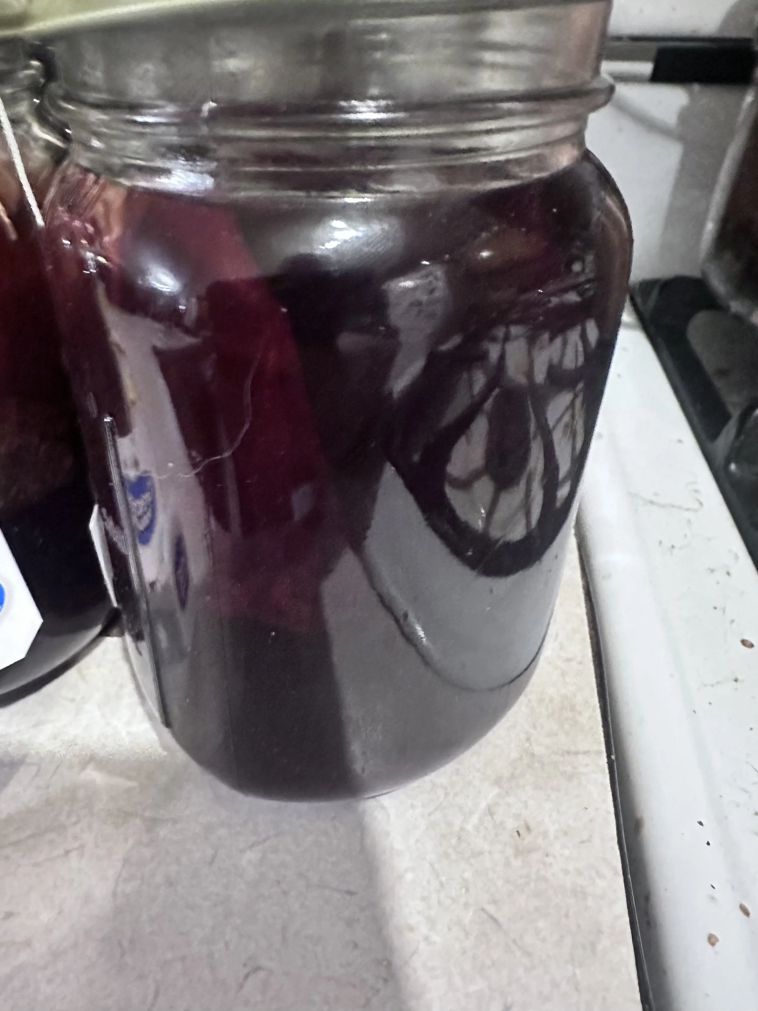 🫐🍎 Pomegranate Blueberry Tea Concentrate - PINT