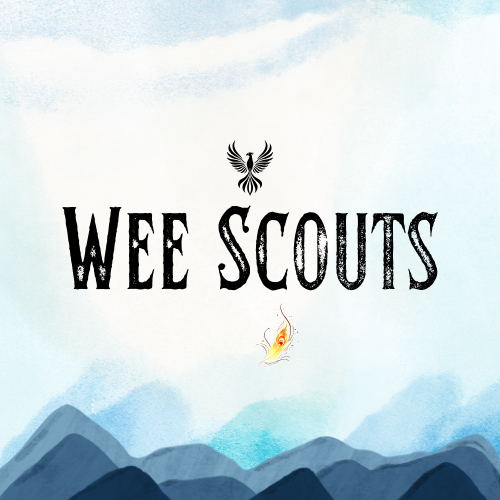 Wee Scouts Logo with Cover