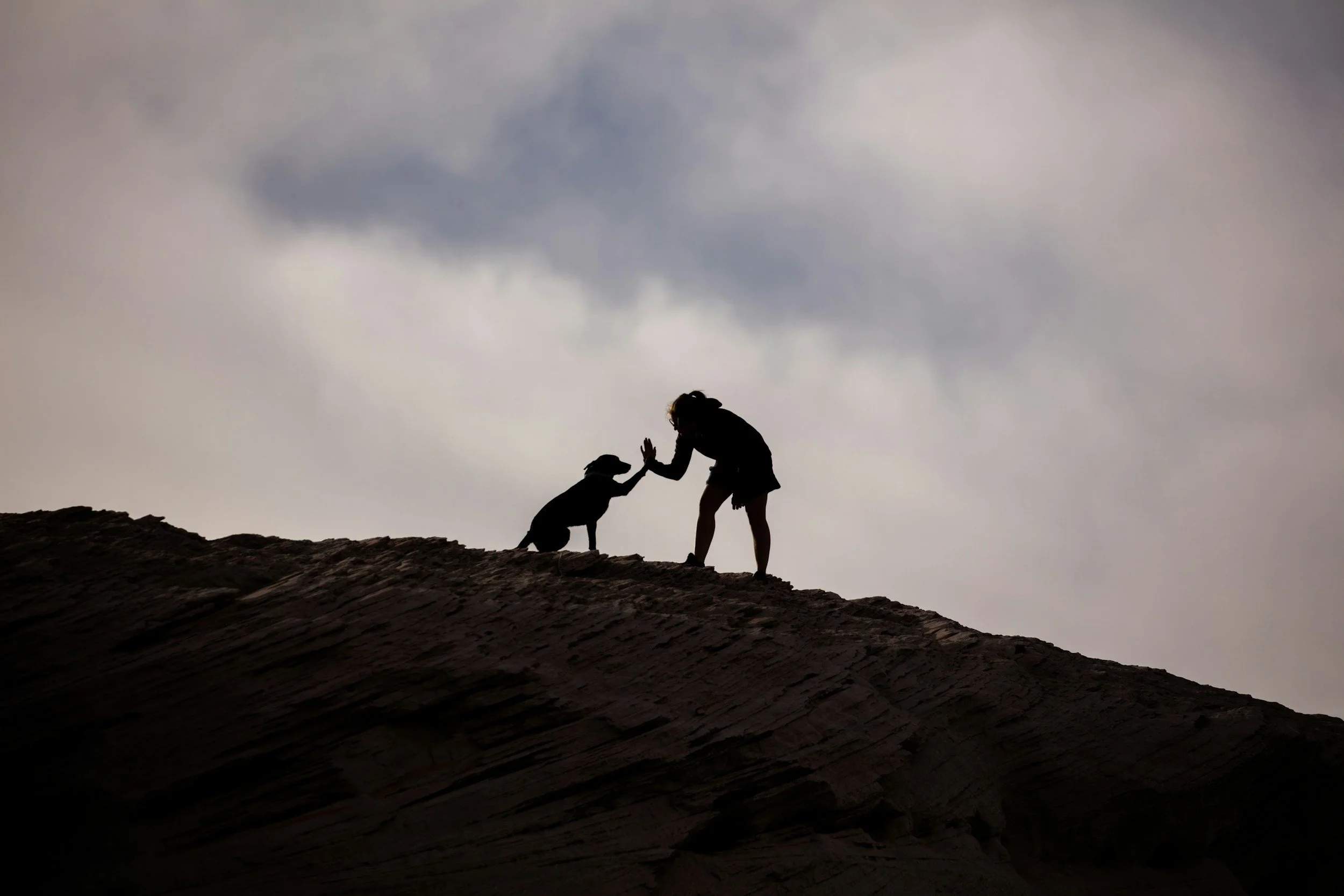 Silhouettes of a person and a dog on a hilltop giving a high five, against a cloudy sky.