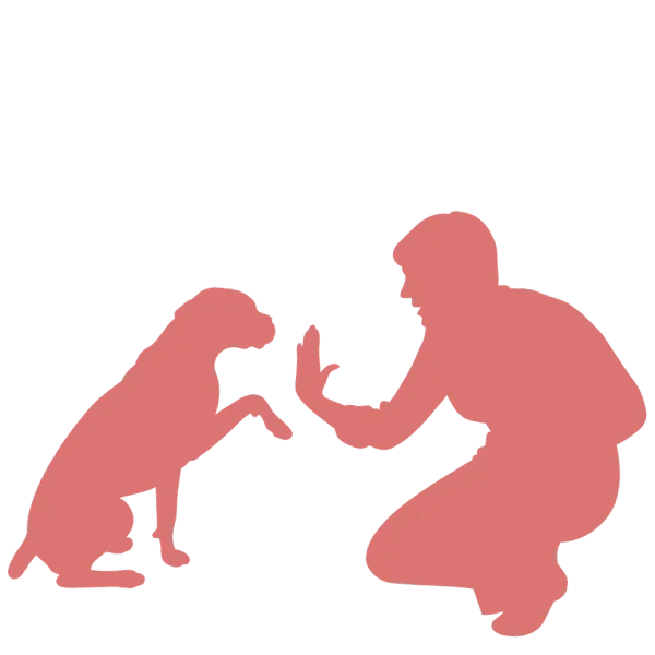 Silhouette of a person playing with a dog.