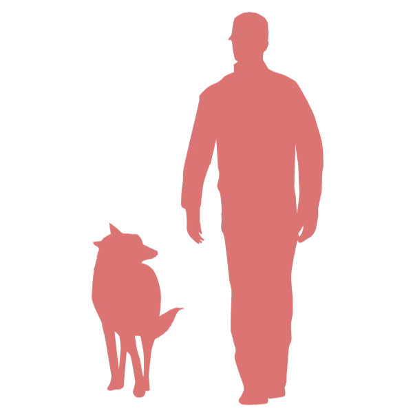 Silhouette of a man walking a dog on a leash