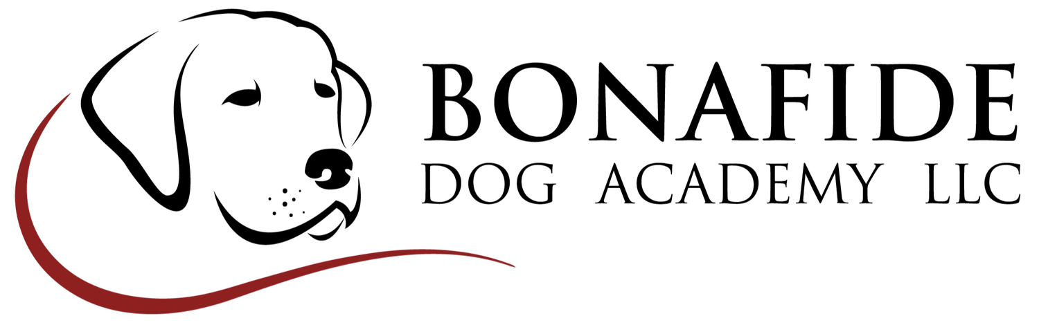 Bonafide Dog Academy