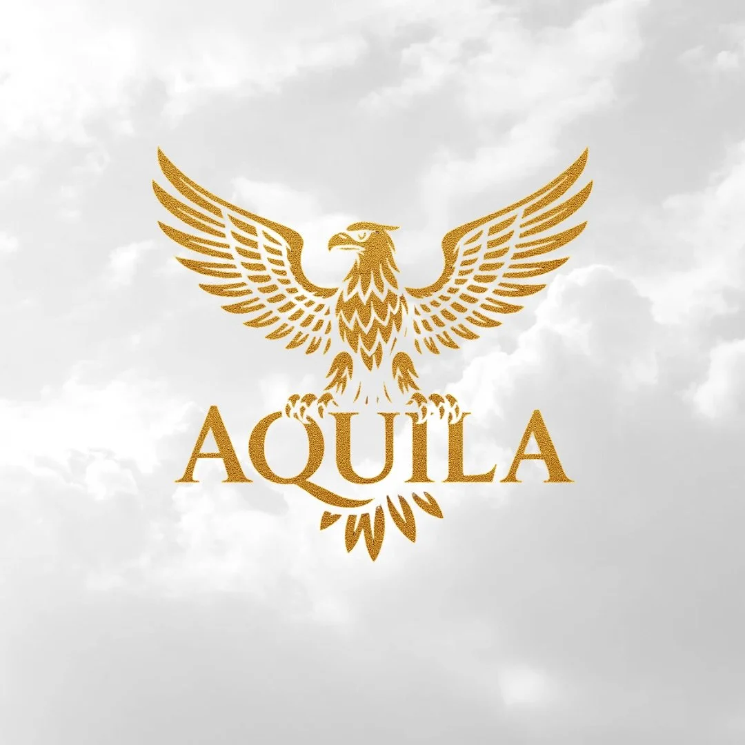 A new season begins.

Aquila Holiday Lighting takes flight &mdash; bringing holiday joy to properties across the San Fernando Valley. 

We combine precision, safety, and convenience for a truly stress-free season.

#aquilaholidaylighting #builttoconq