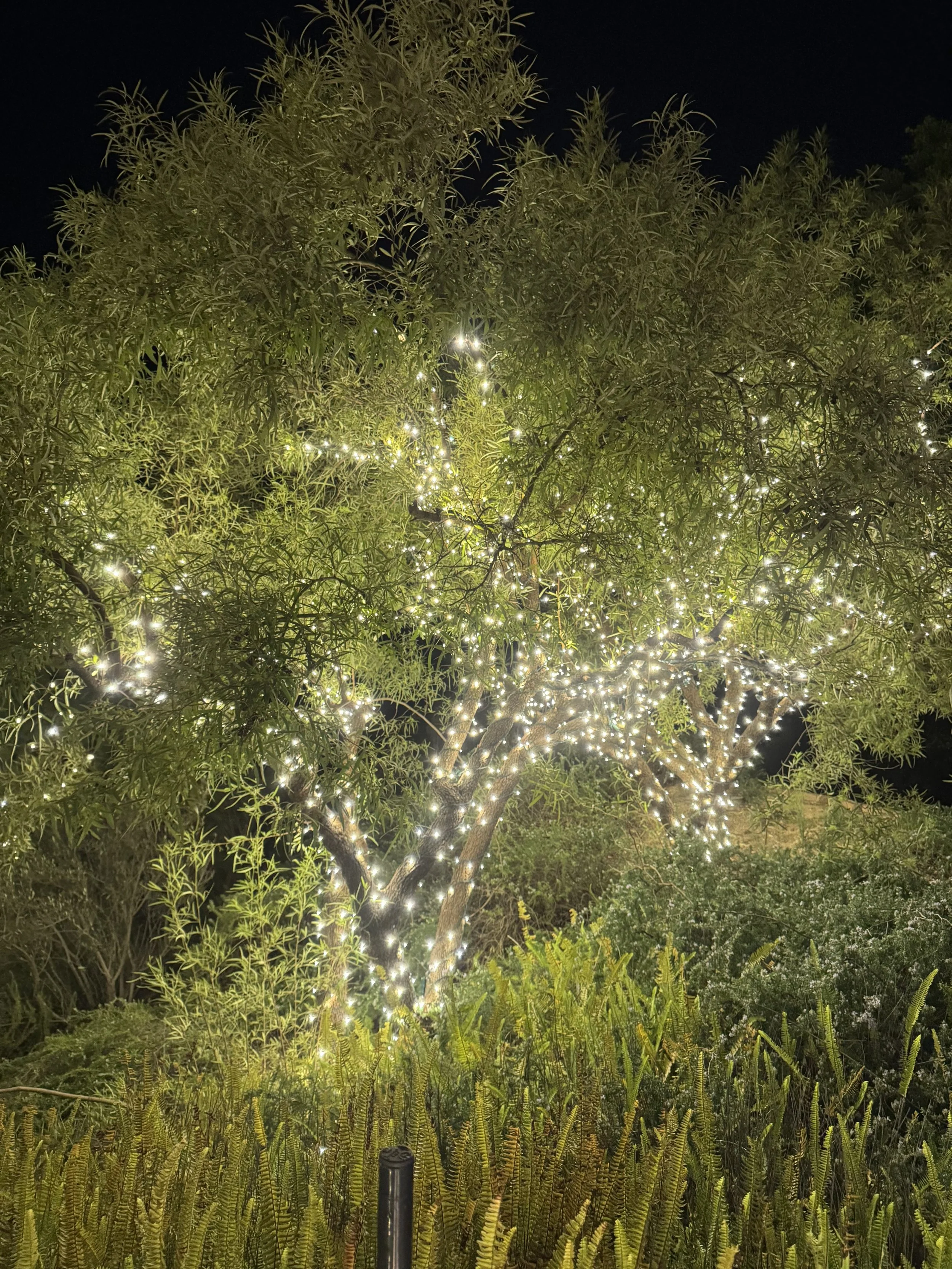 Tree Branch Wraps