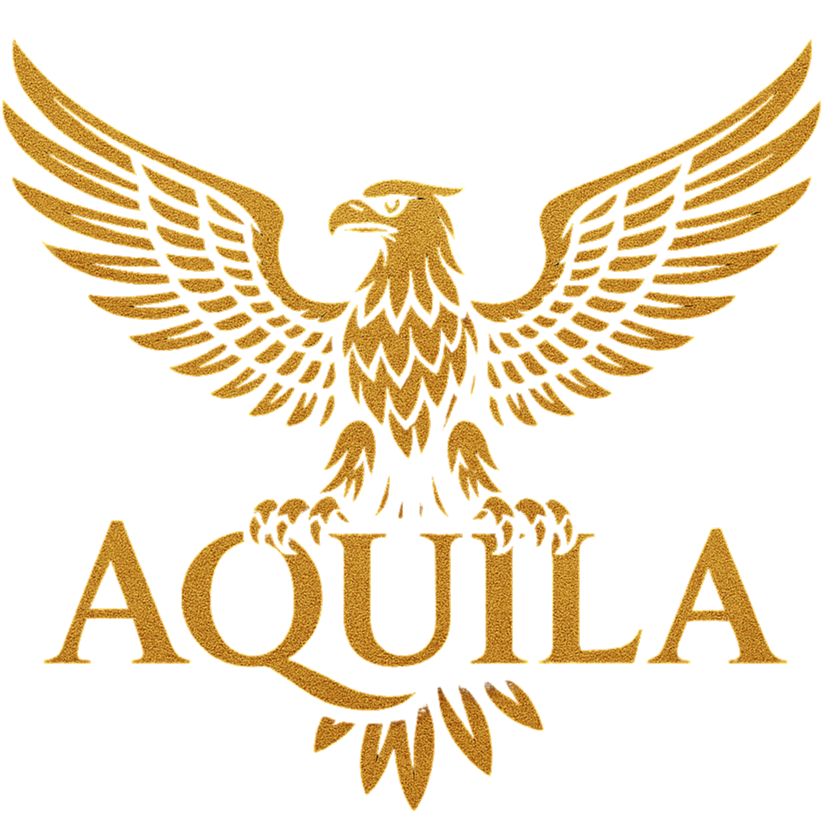Aquila Holiday Lighting