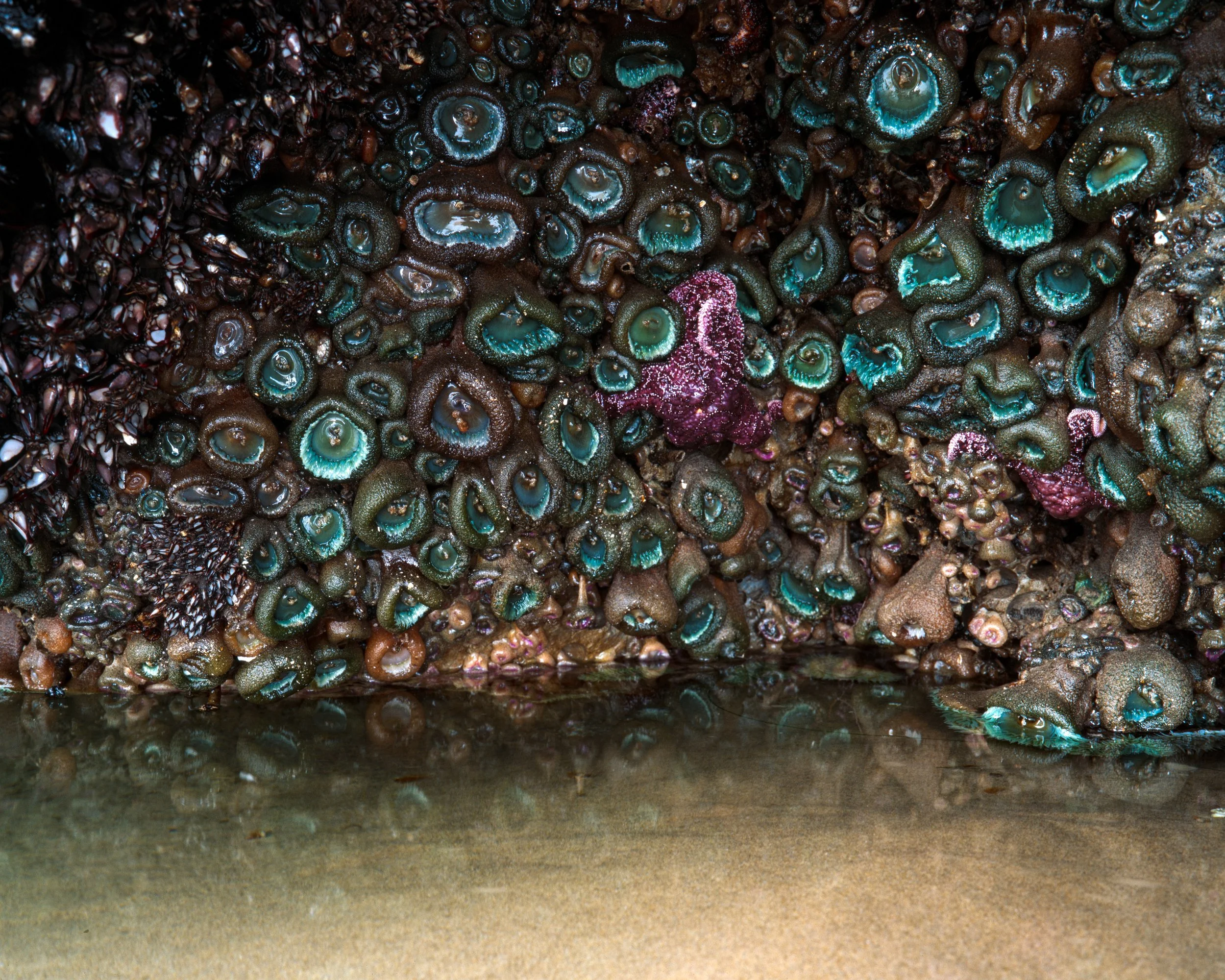 OregonE100Textures-4.jpg