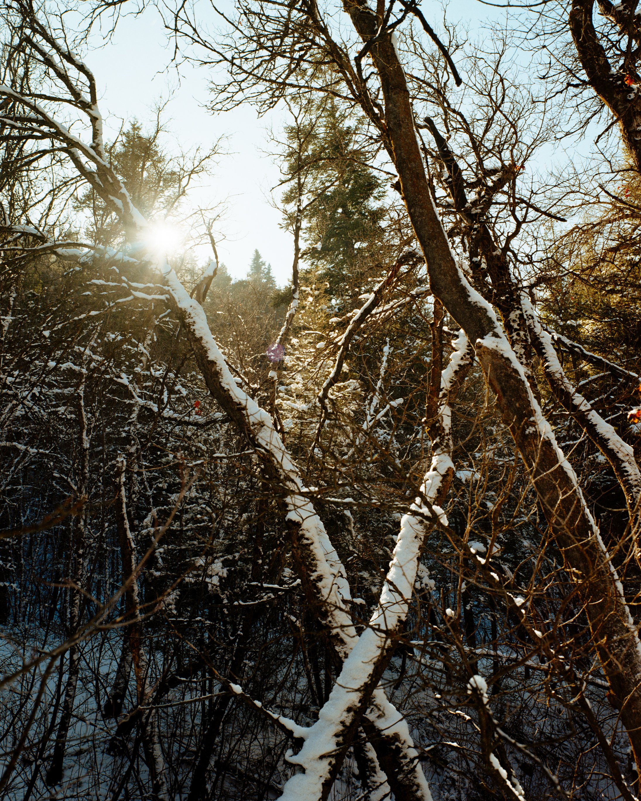 Squarespace Gold-8.jpg