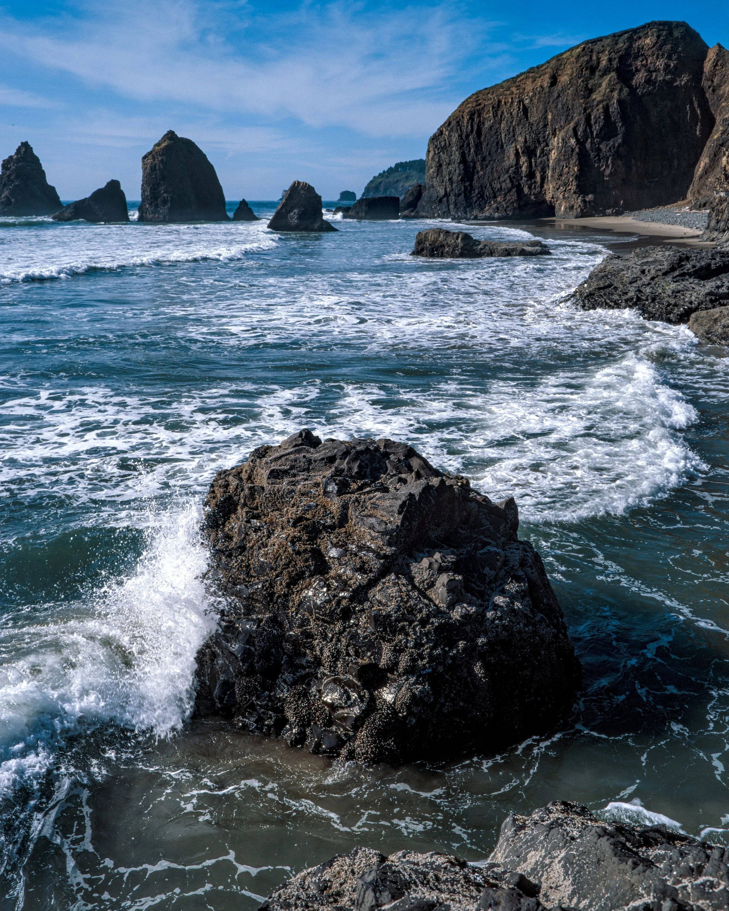 OregonE100Seaside-3.jpg