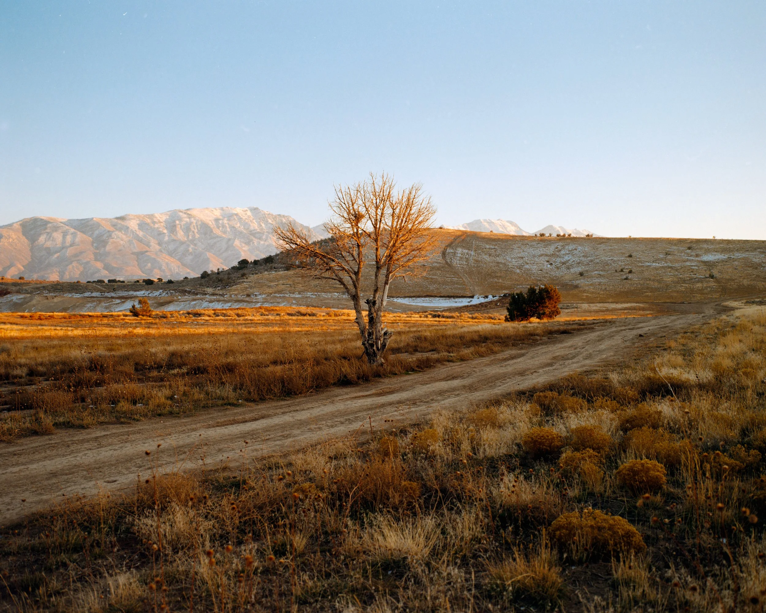 Squarespace Gold-1.jpg