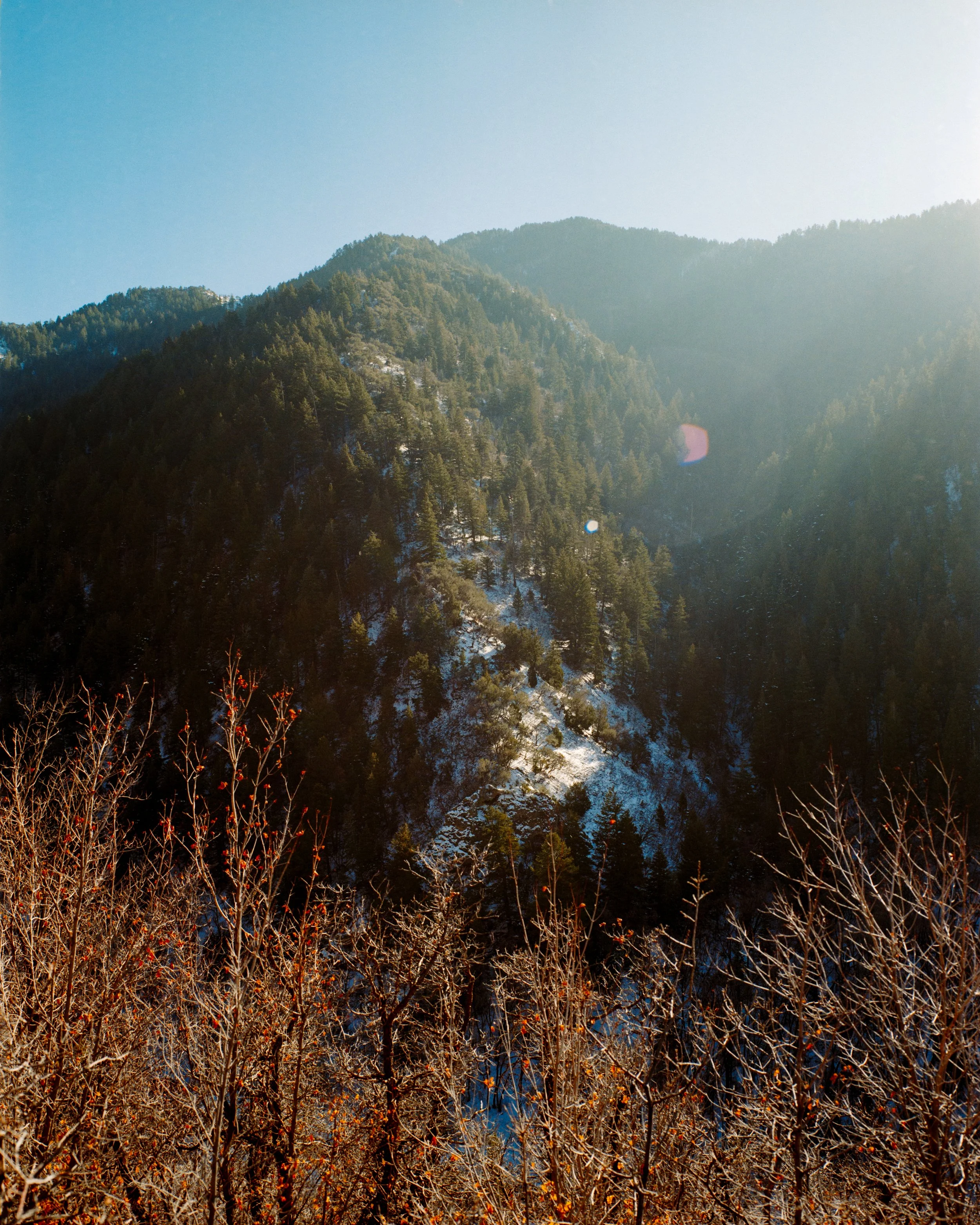 260122 Mamiya 7 Gold 200 r2-3.jpg