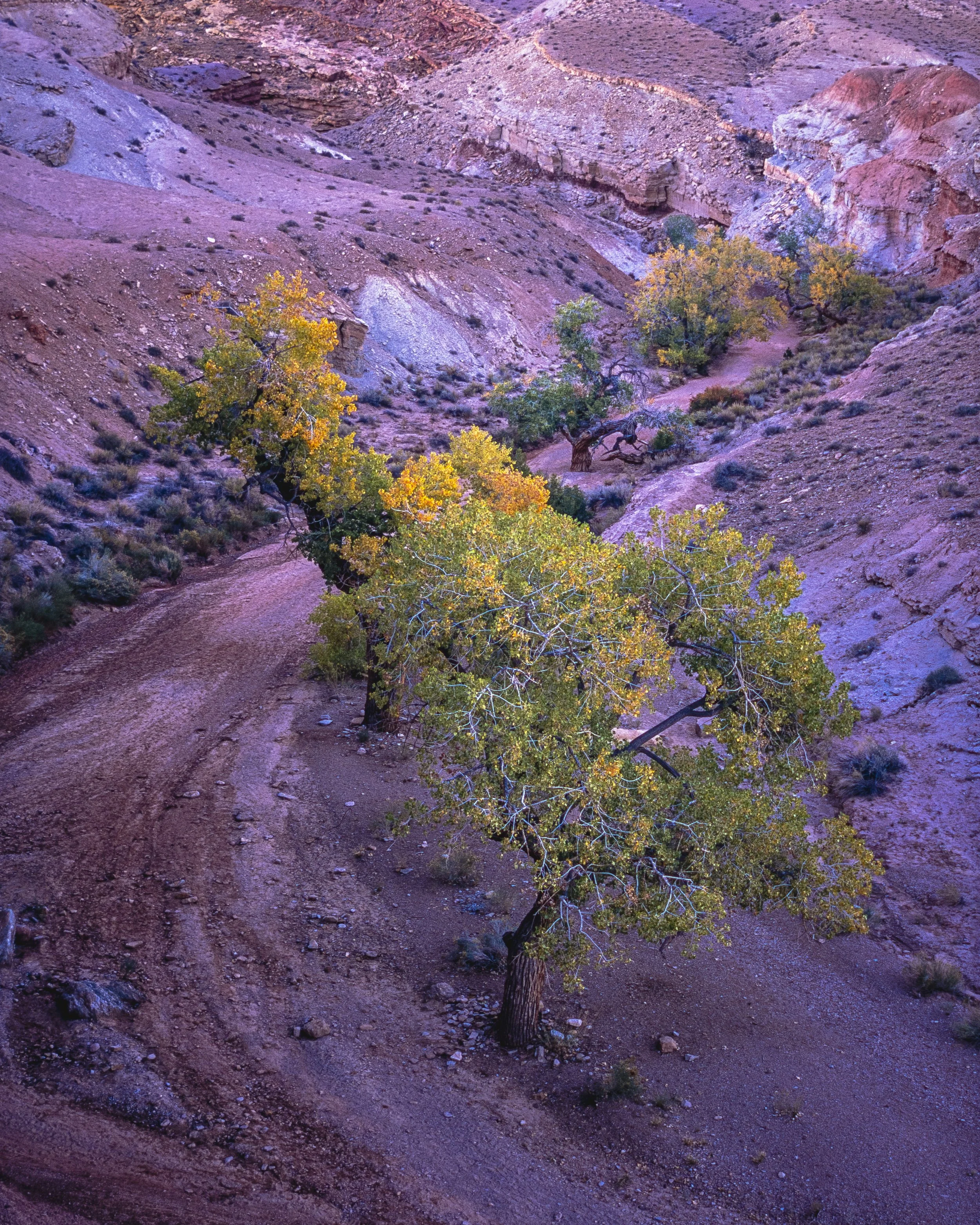 DSCF6962.jpg