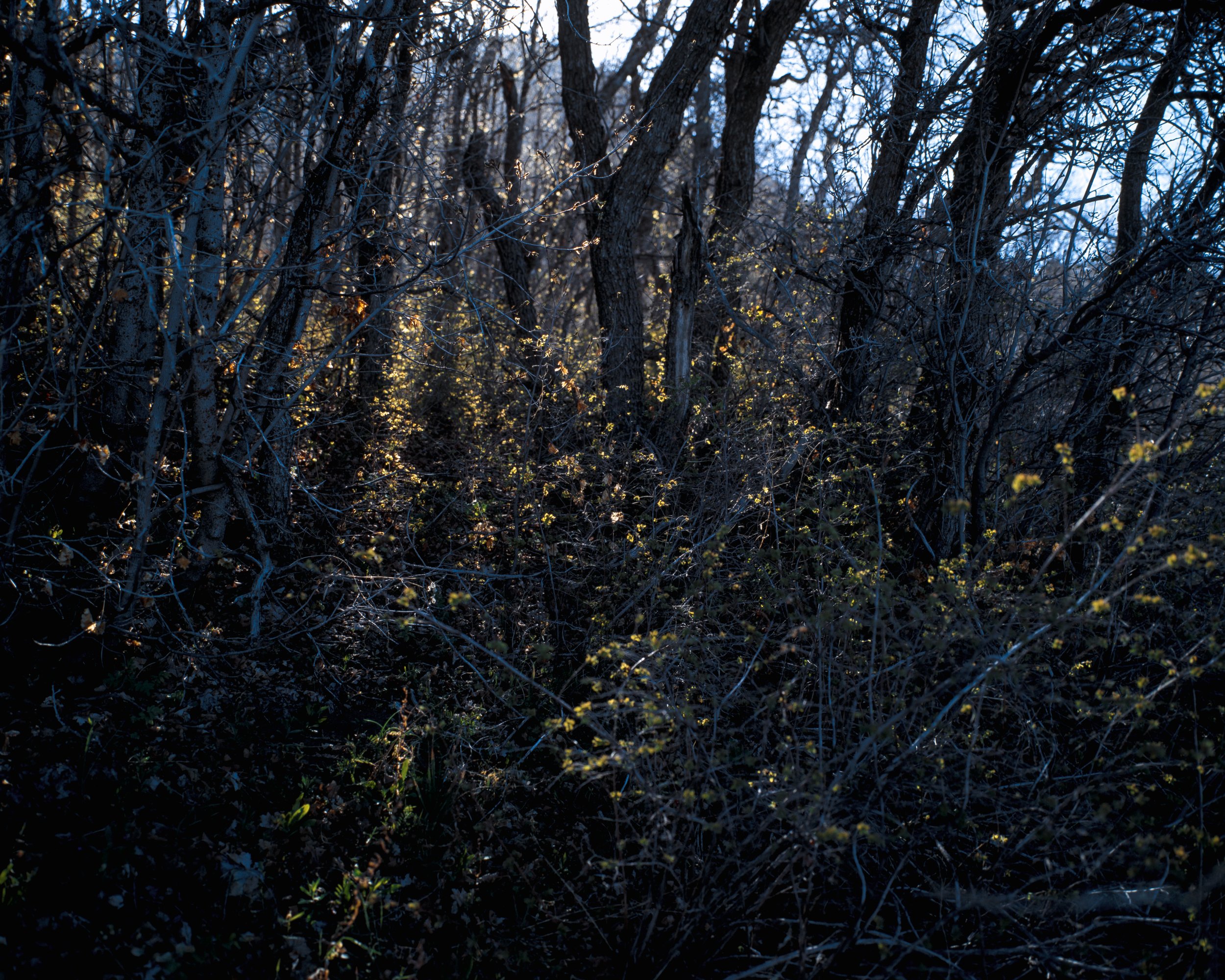 260516 Kodak Ektachrome E100 Compressed-6.jpg