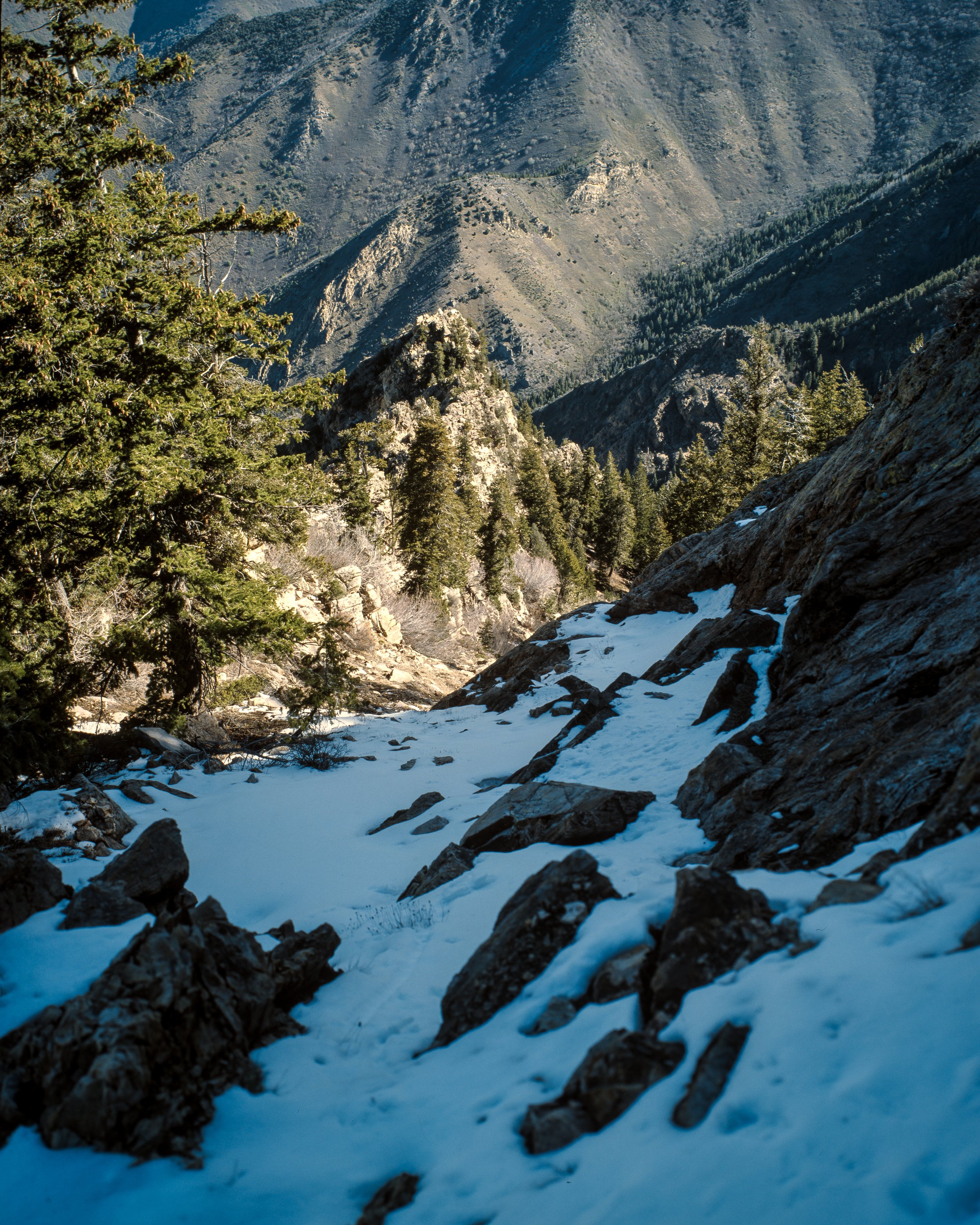 260516 Kodak Ektachrome E100 Compressed-25.jpg