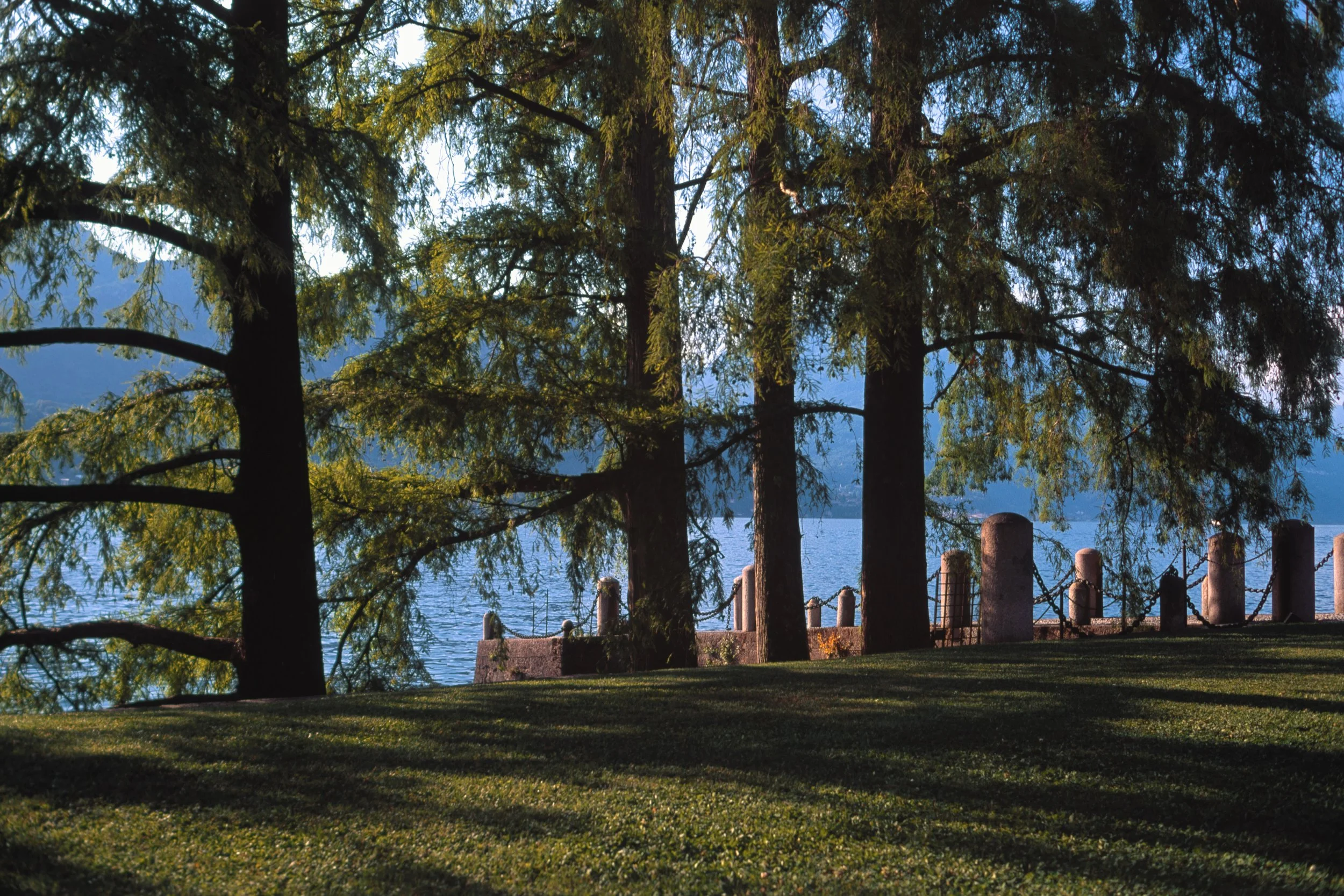 260527 Italy Velvia 50 (1)-14.jpg