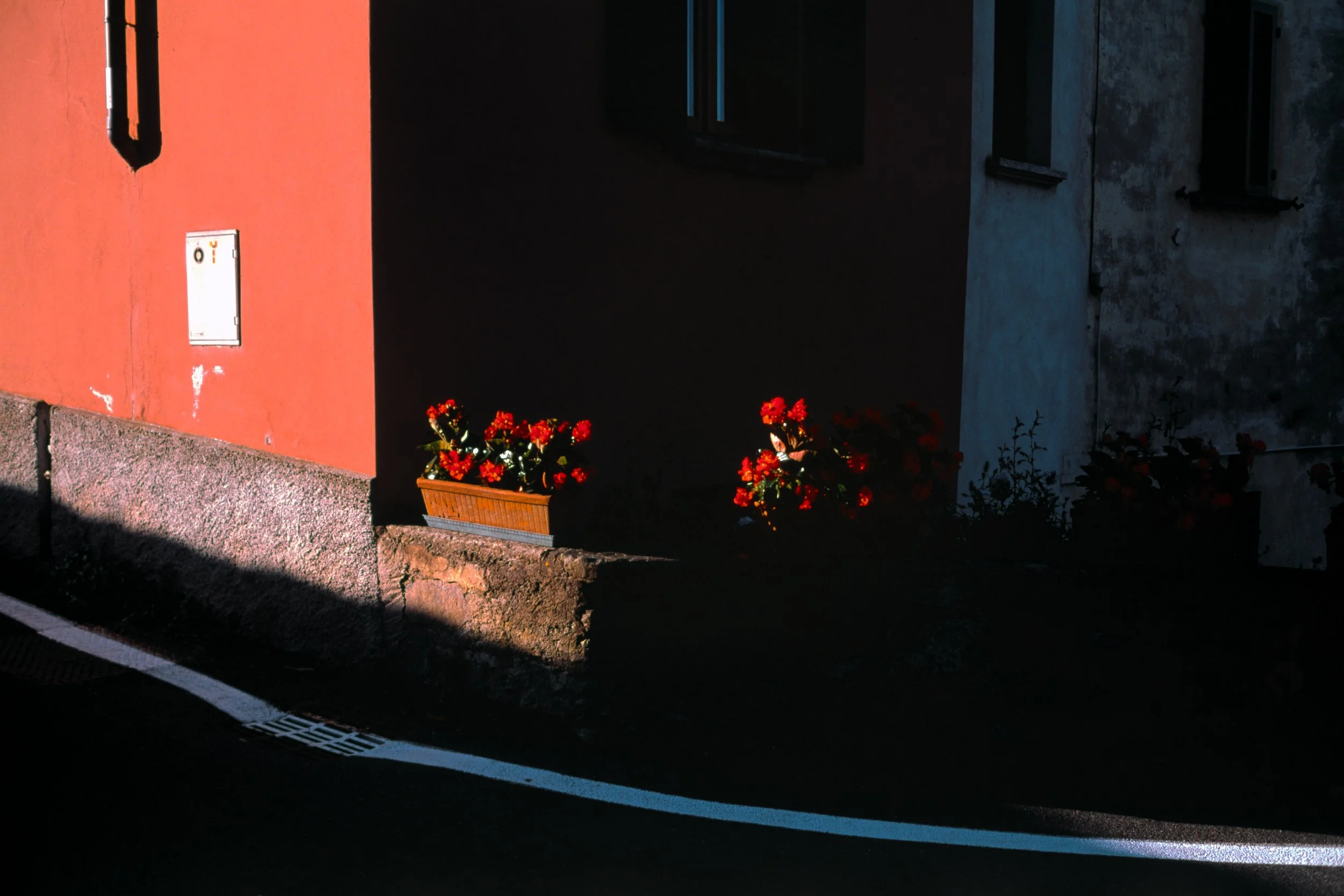 260527 Italy Velvia 50 (1)-37.jpg