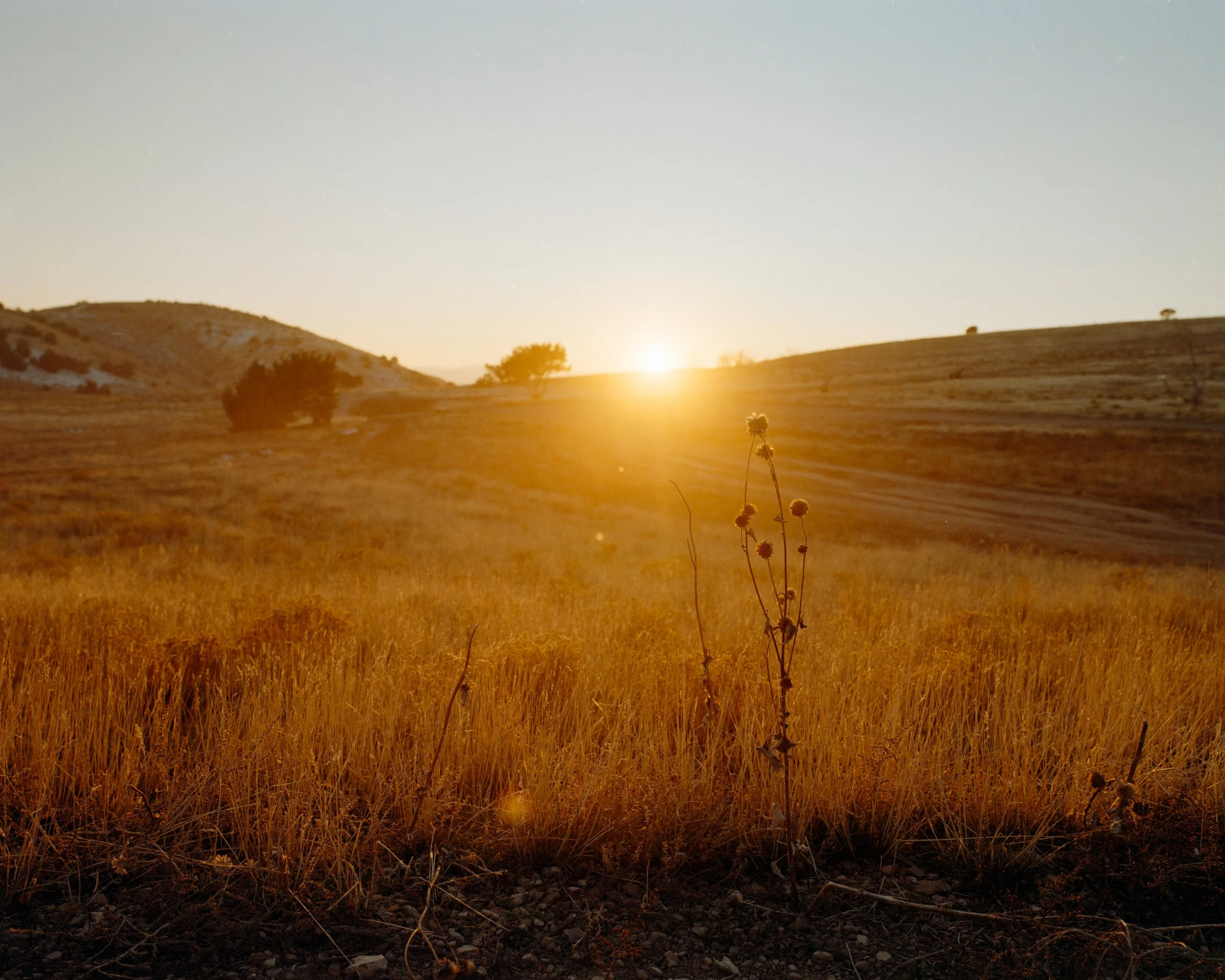 Squarespace Gold-2.jpg