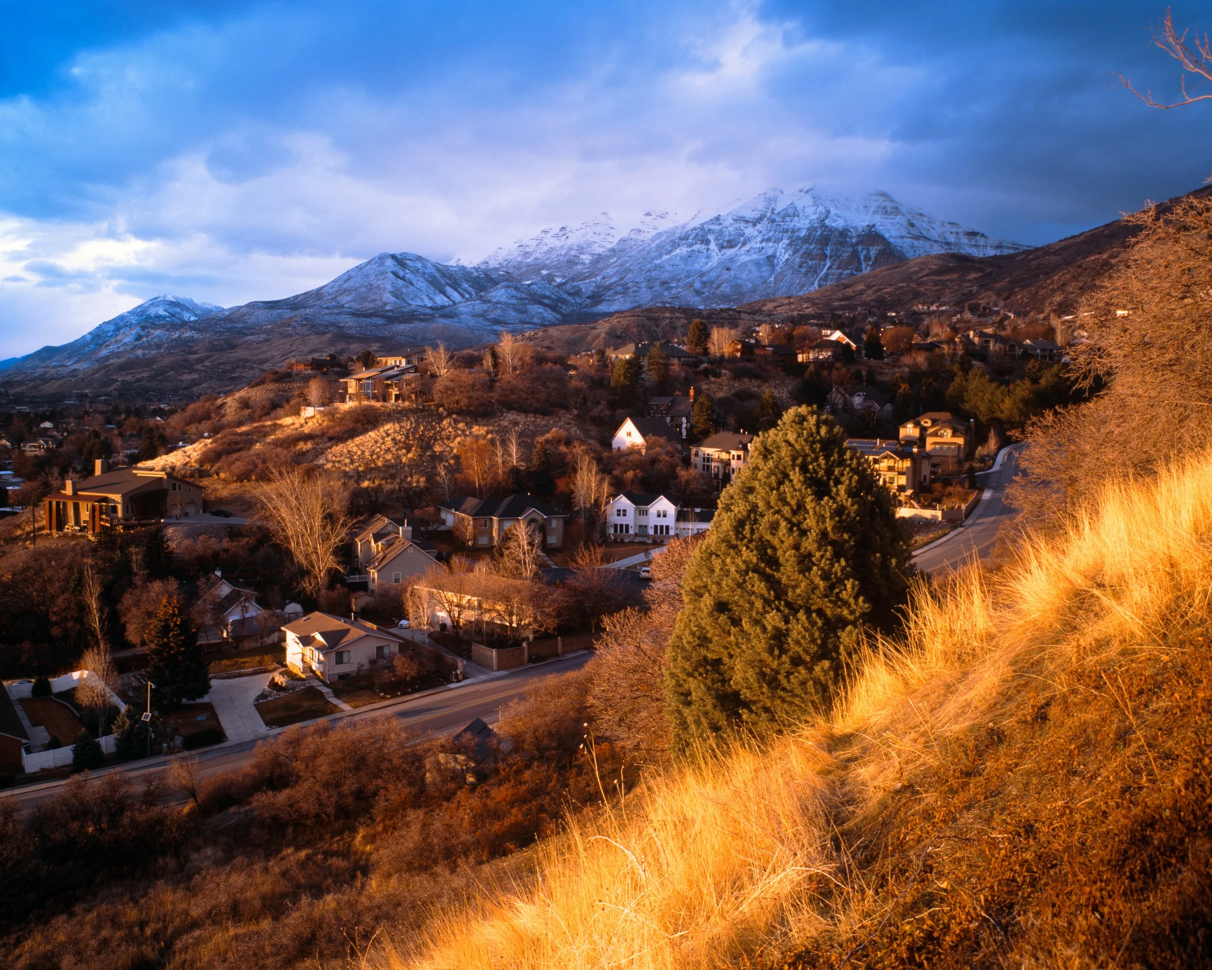 260220 Ektachrome E100 120 small-1.jpg