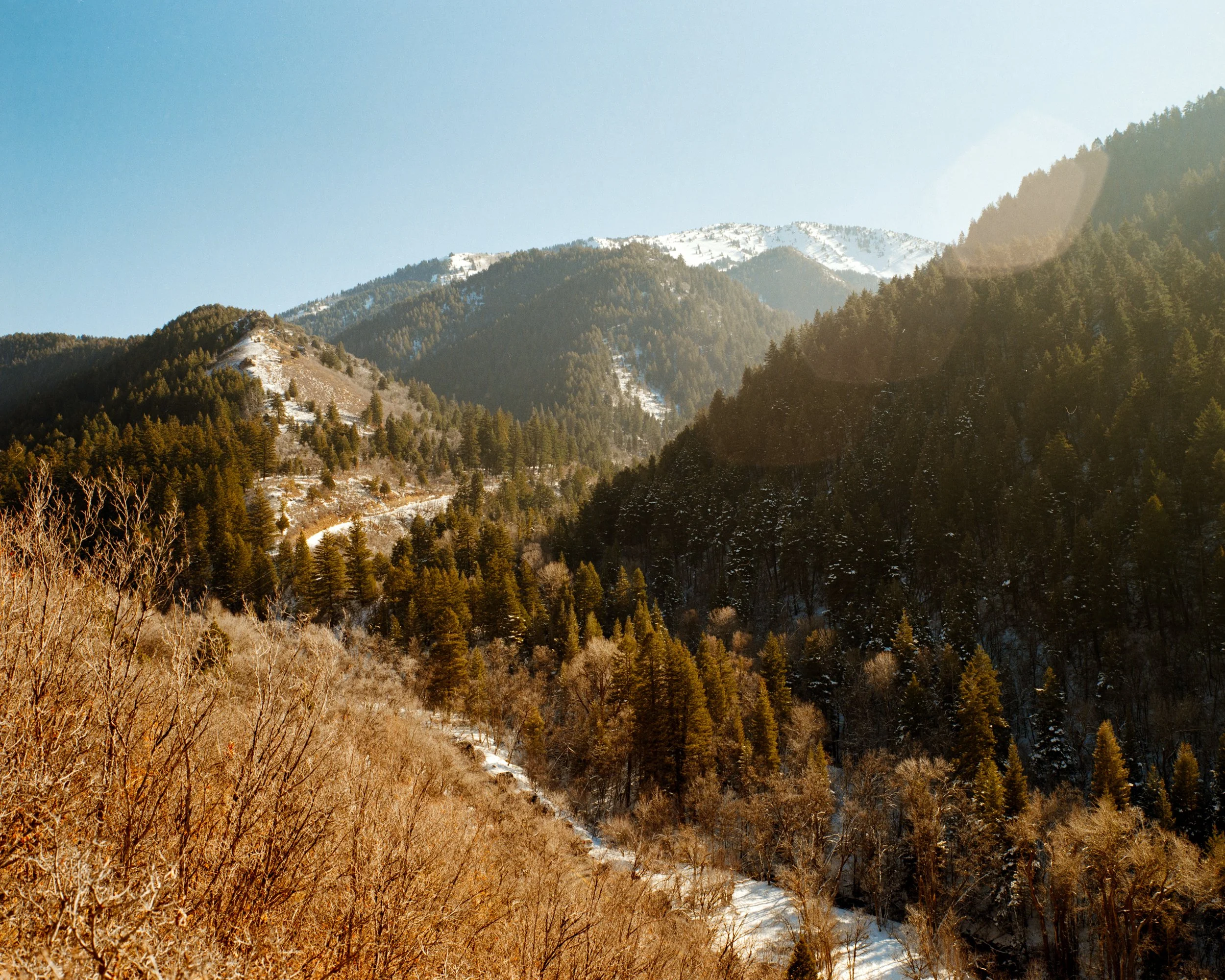 Squarespace Gold-4.jpg