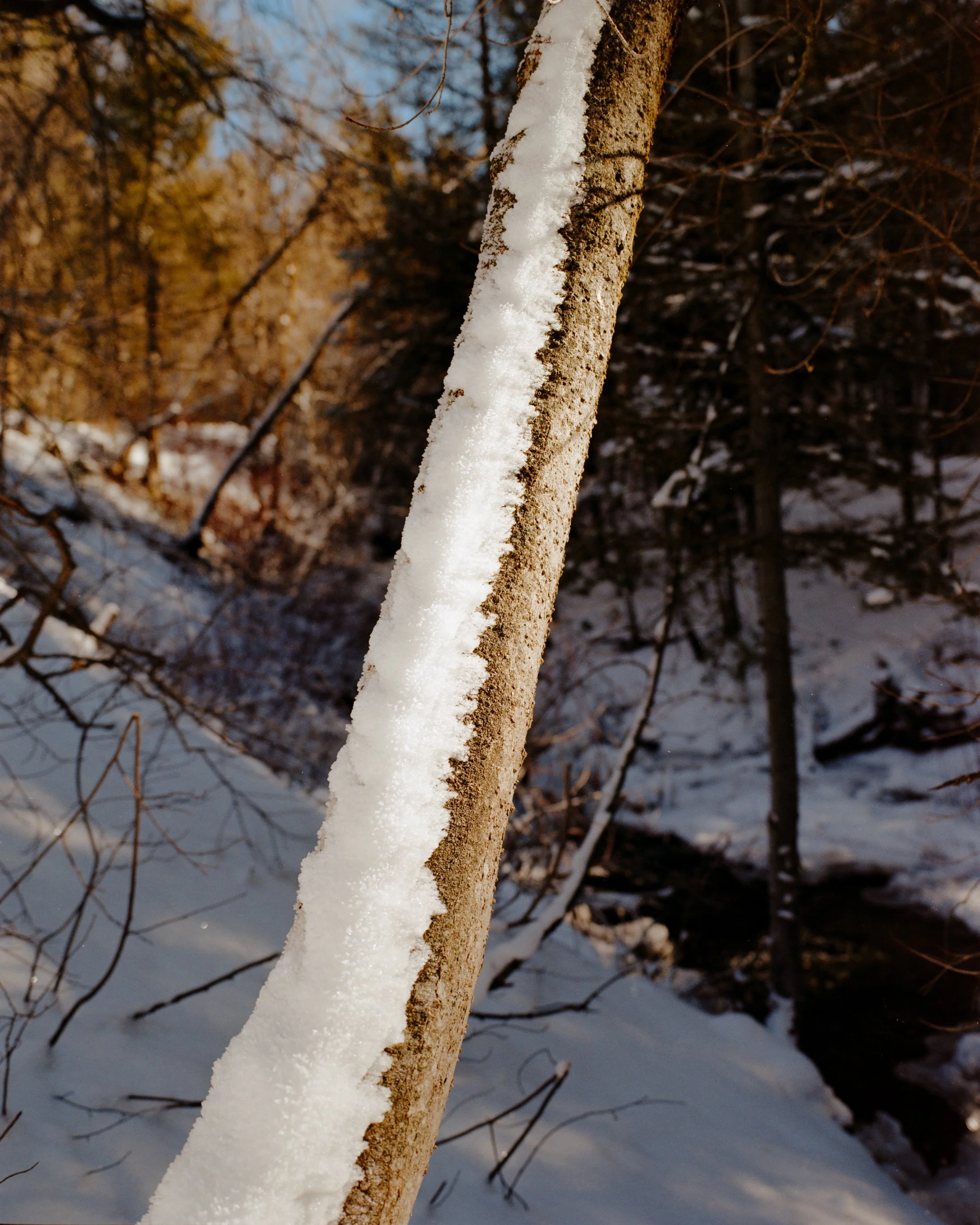 Squarespace Gold-9.jpg