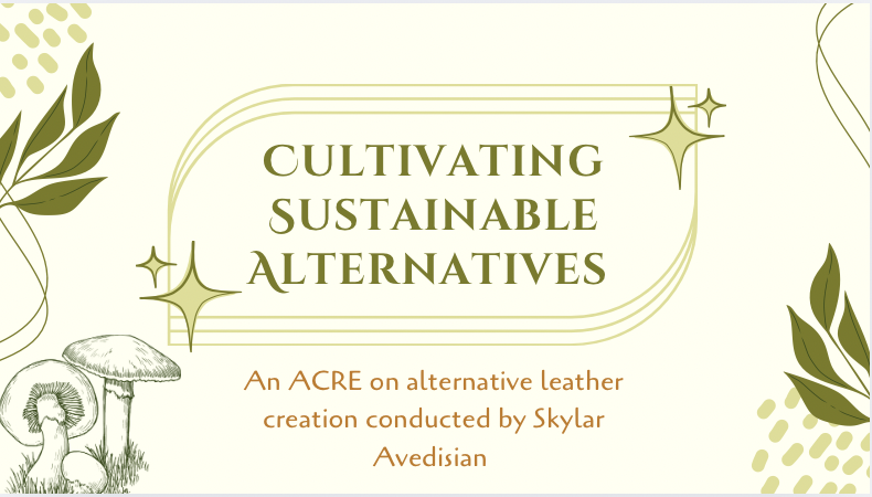 Screen Shot 2025-10-10 at 2.06.57 PM.png