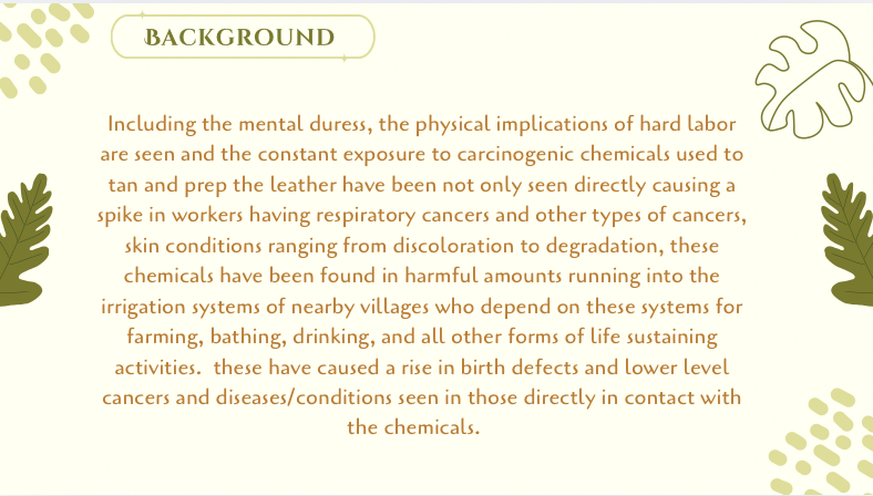 Screen Shot 2025-10-10 at 2.07.26 PM.png