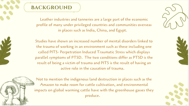 Screen Shot 2025-10-10 at 2.07.19 PM.png