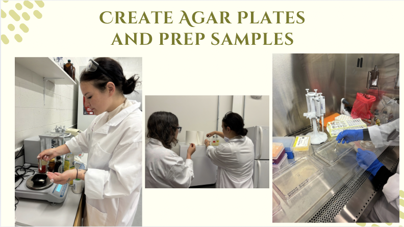 Screen Shot 2025-10-10 at 2.10.22 PM.png