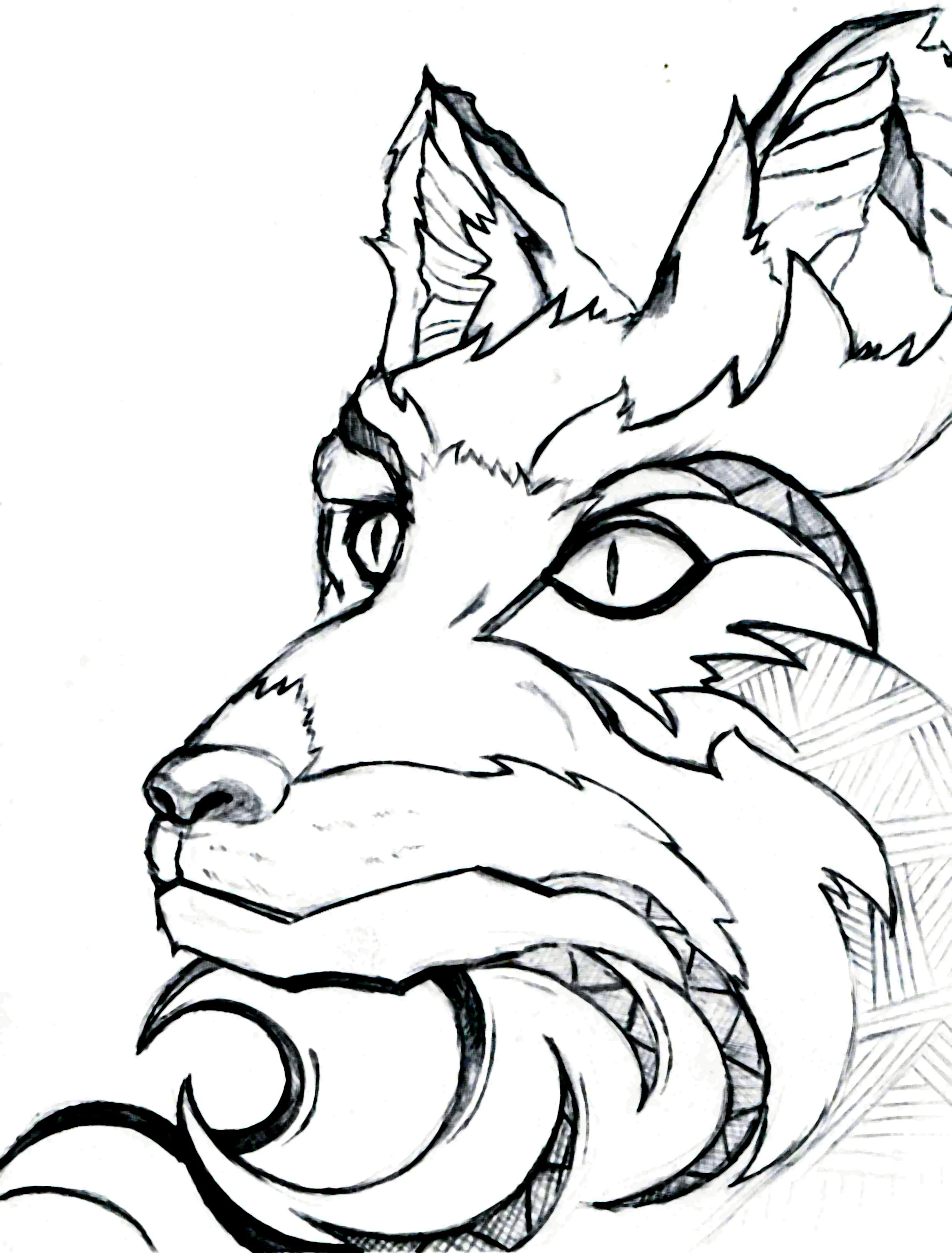 Foxy Dog by Emily Williams.jpg