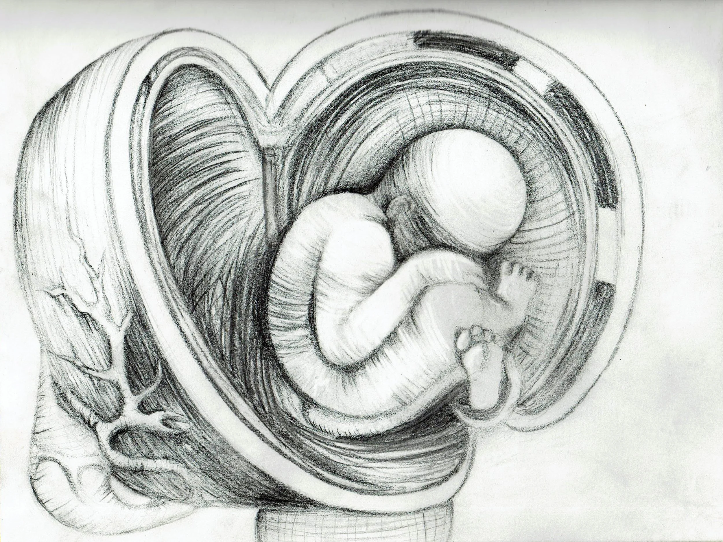 Studies of the Fetus in the Womb Cover drawing.jpg