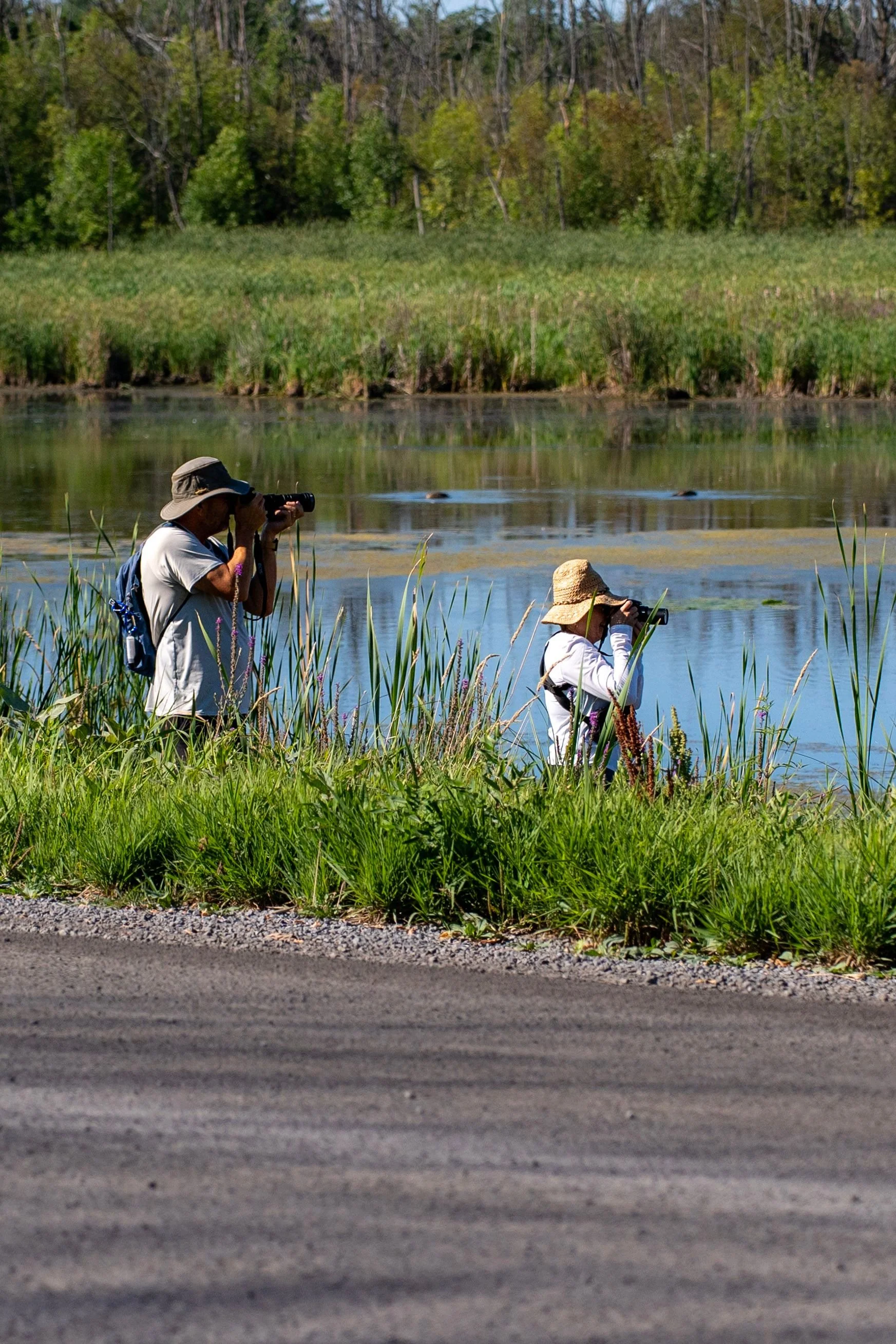 Two people photographing wildlife beside a wetland.